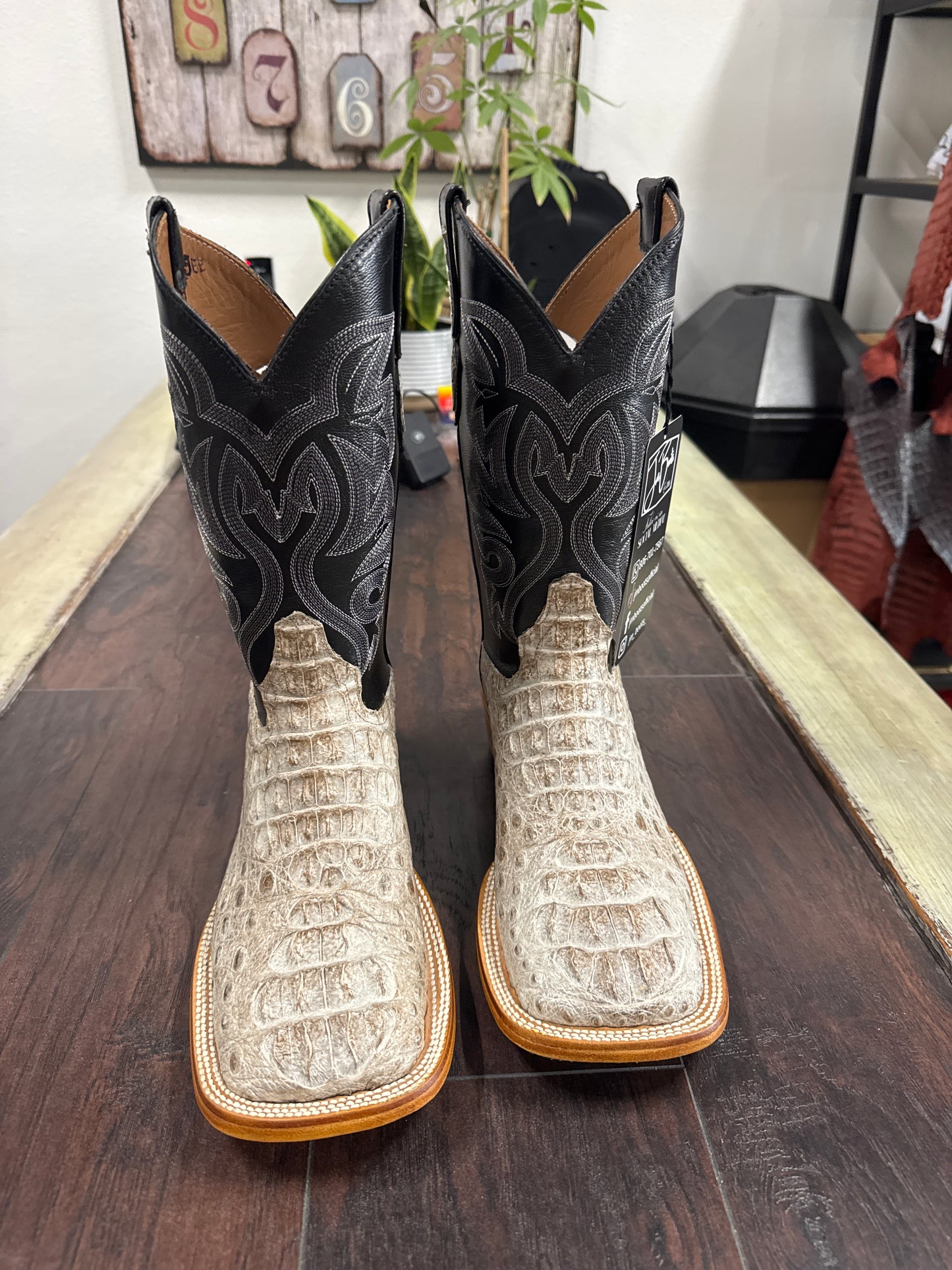 Caiman hornback- natural
