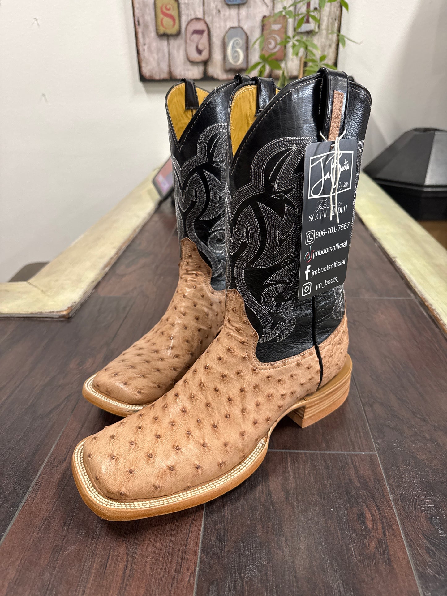 Ostrich- DB Bruciato