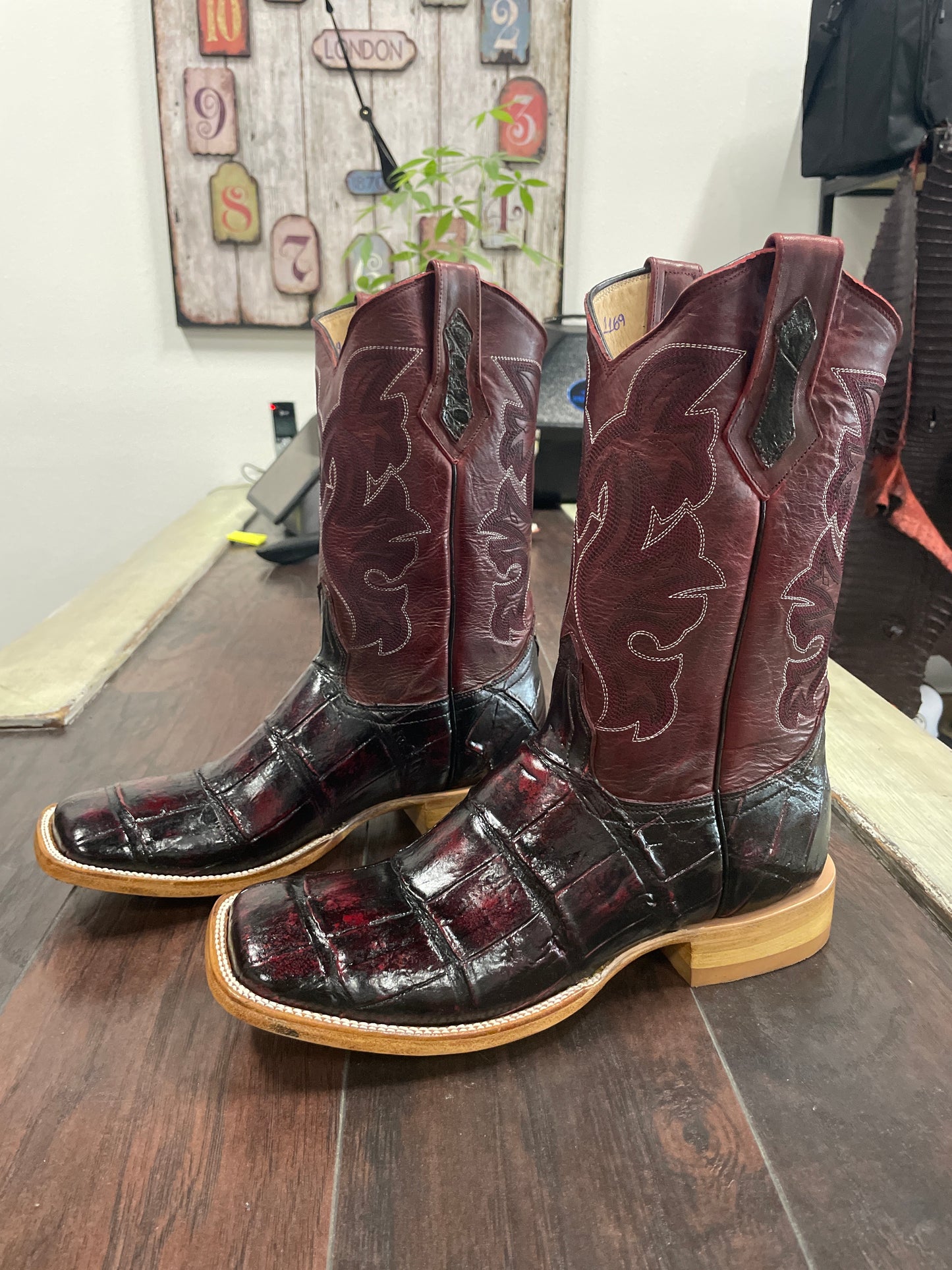 American Alligator~ Black Cherry
