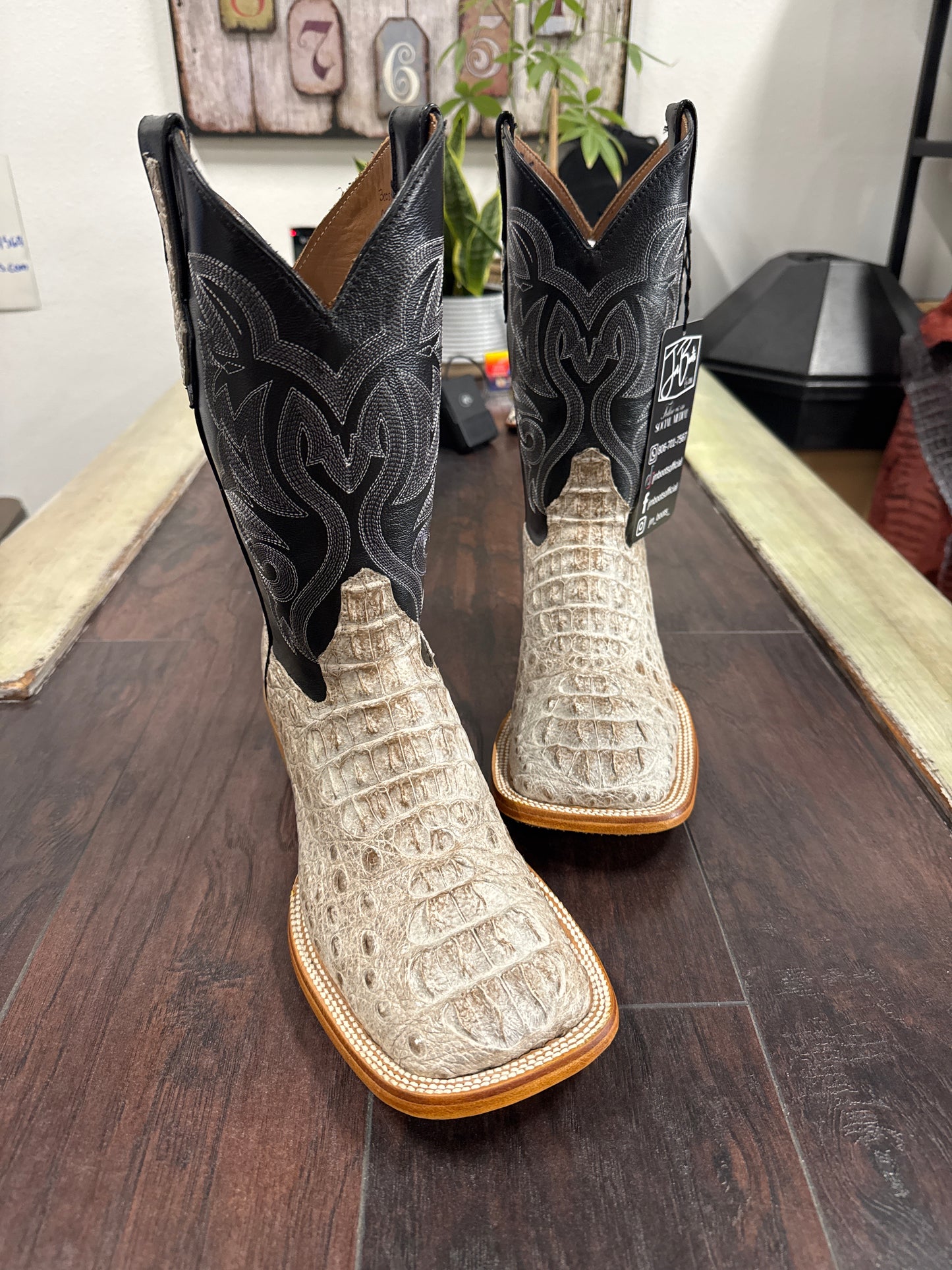 Caiman hornback- natural