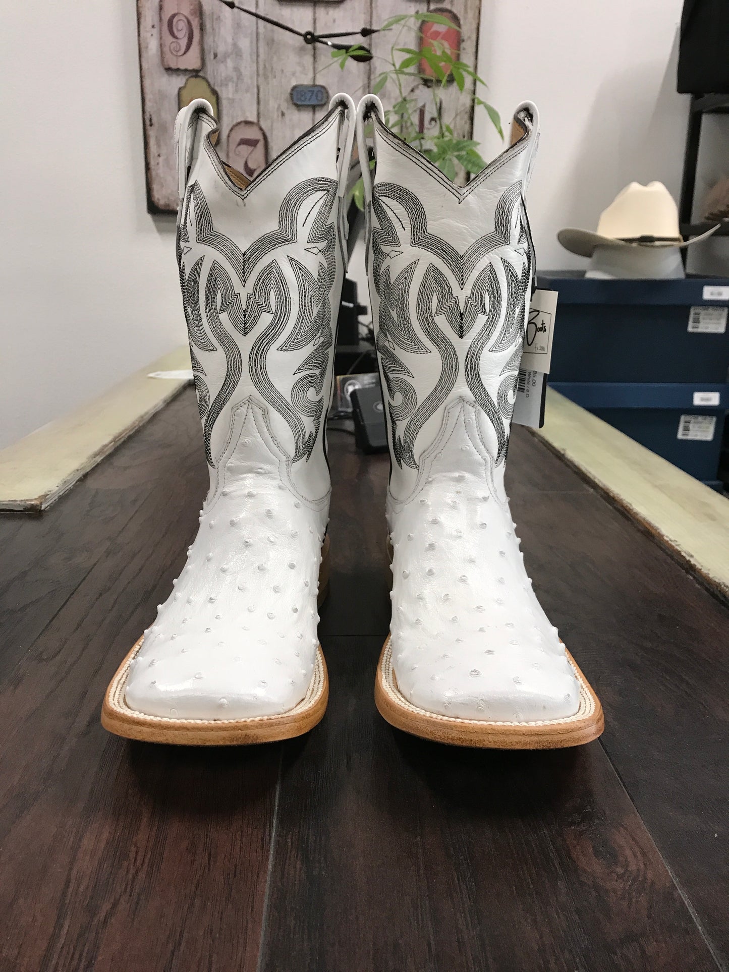 Ostrich - White