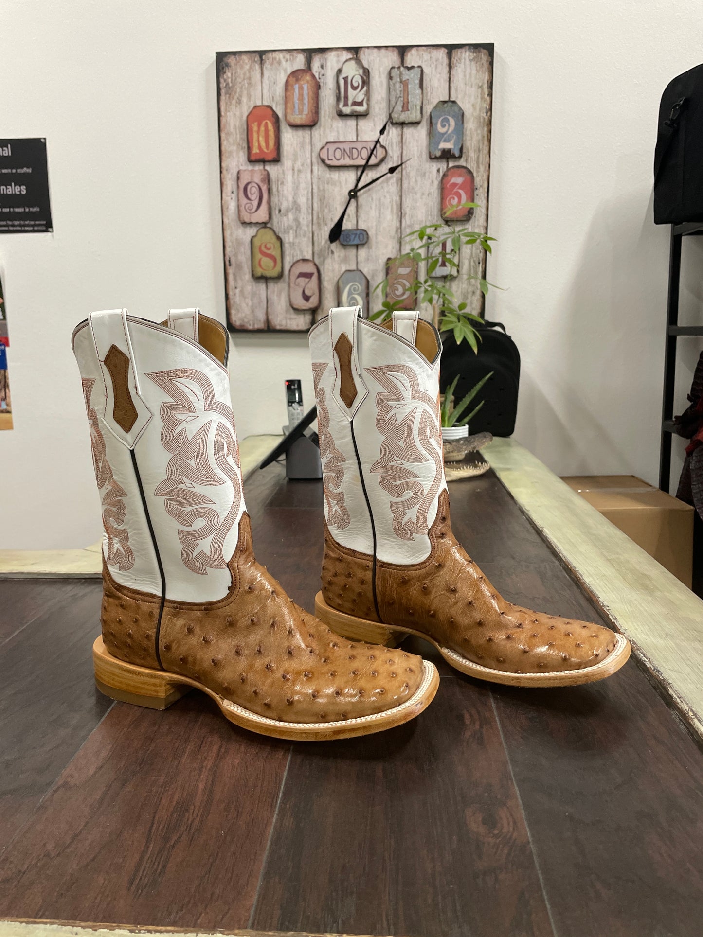 Ostrich- DB Bruciato