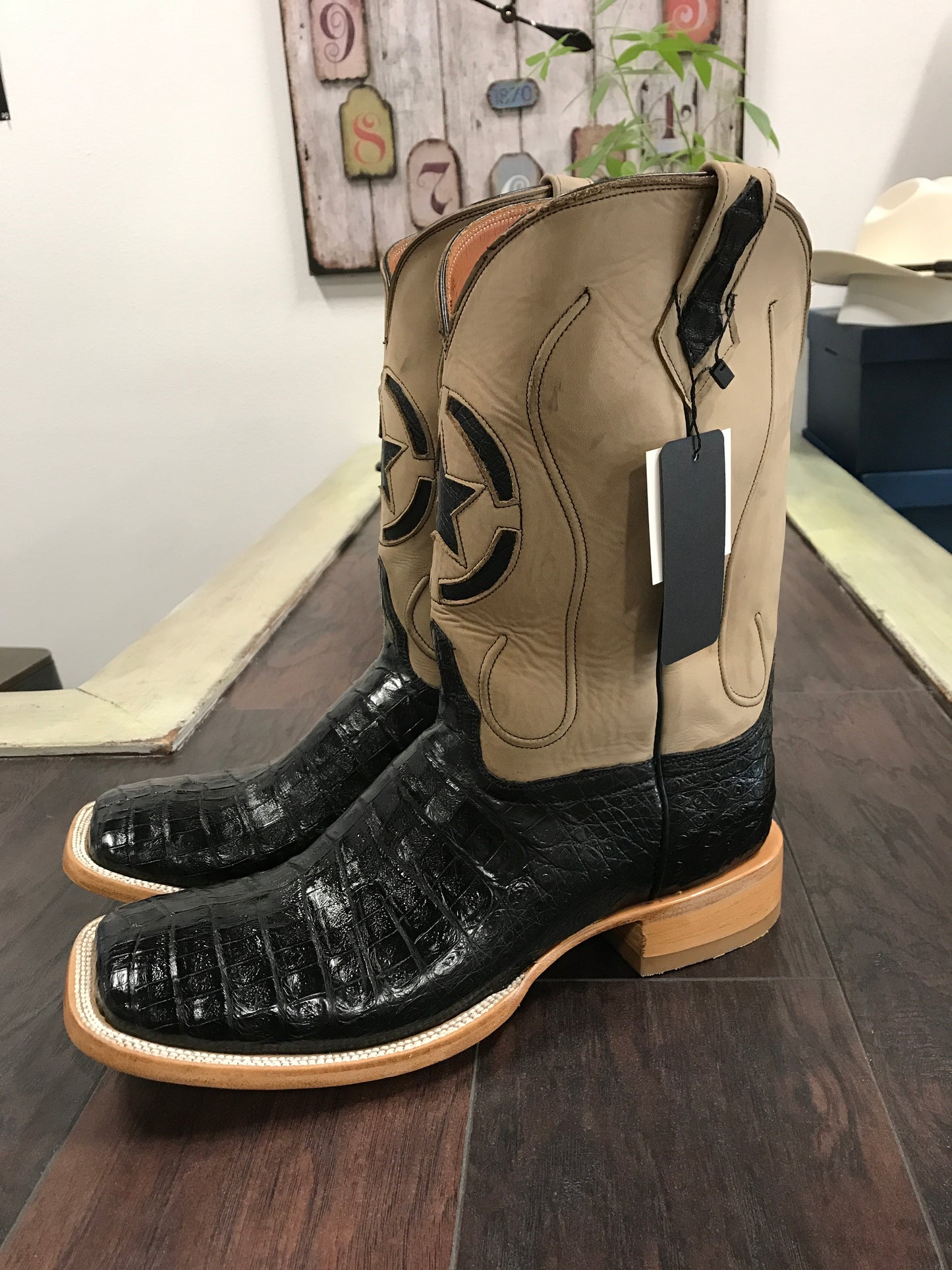 Caiman Belly-Black