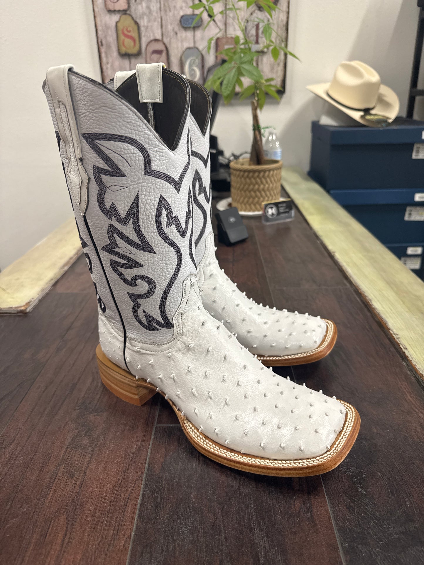 Ostrich - White Bulldog