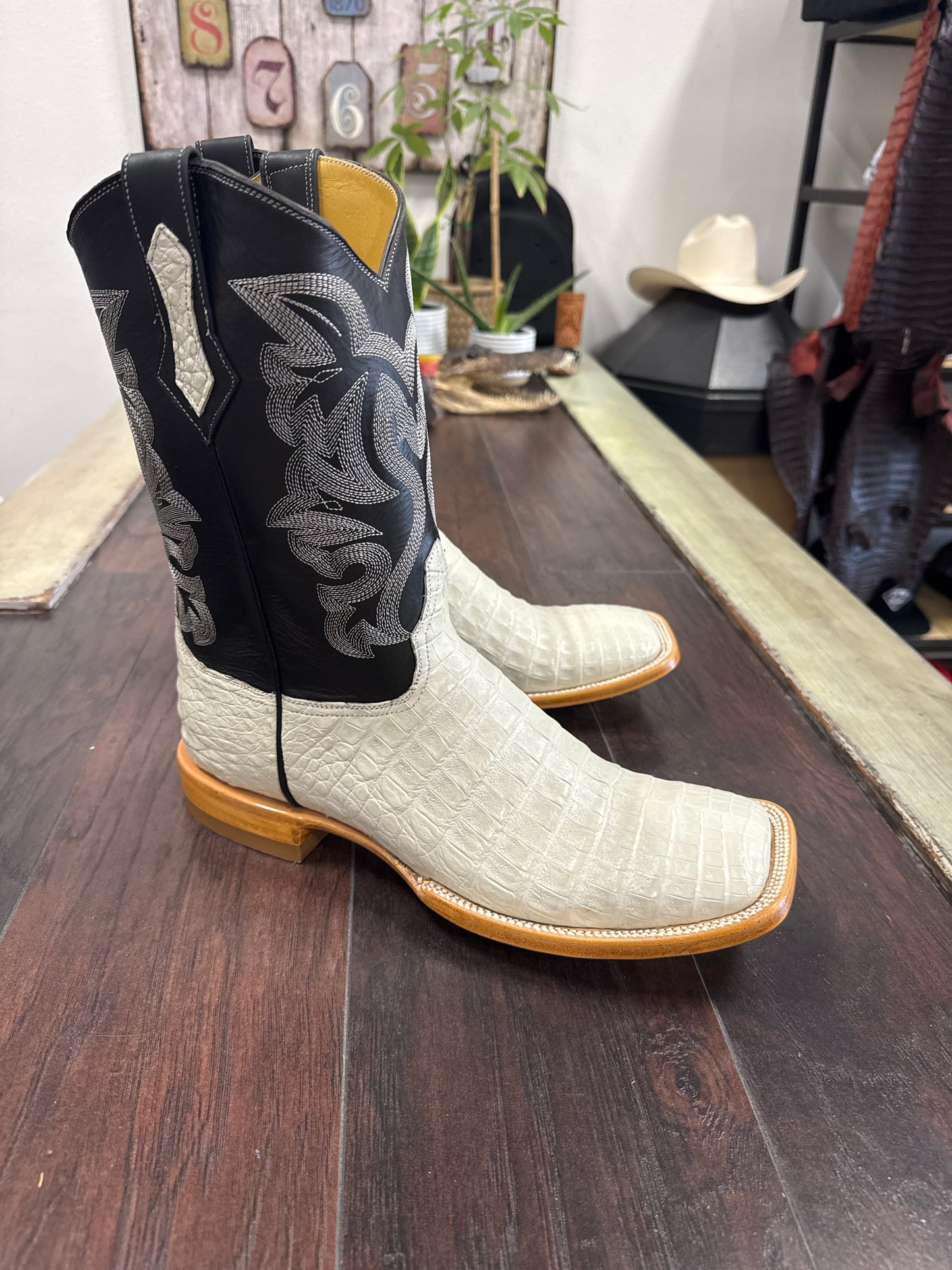 Caiman Belly- Hueso