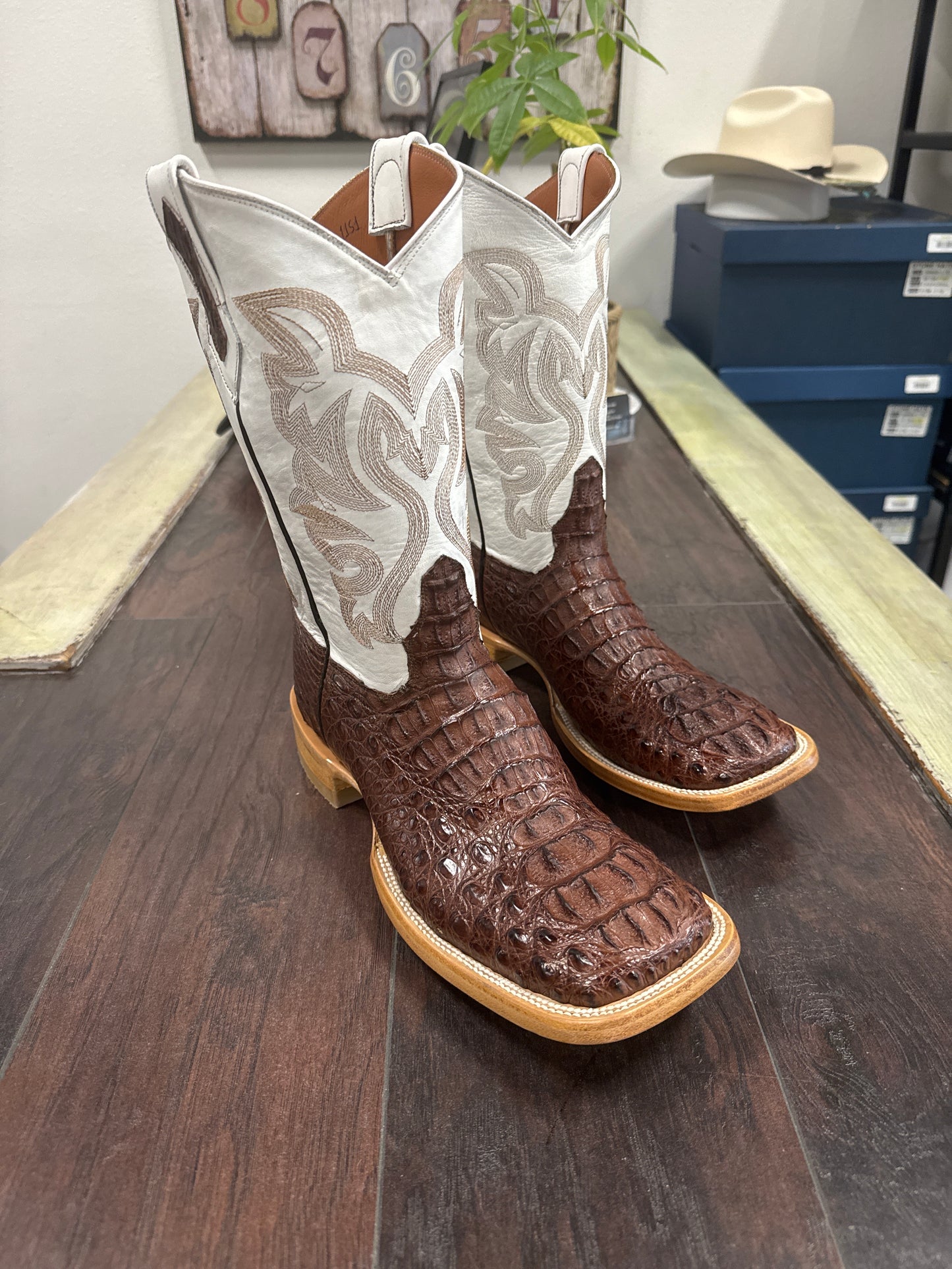 Caiman hornback- cigar
