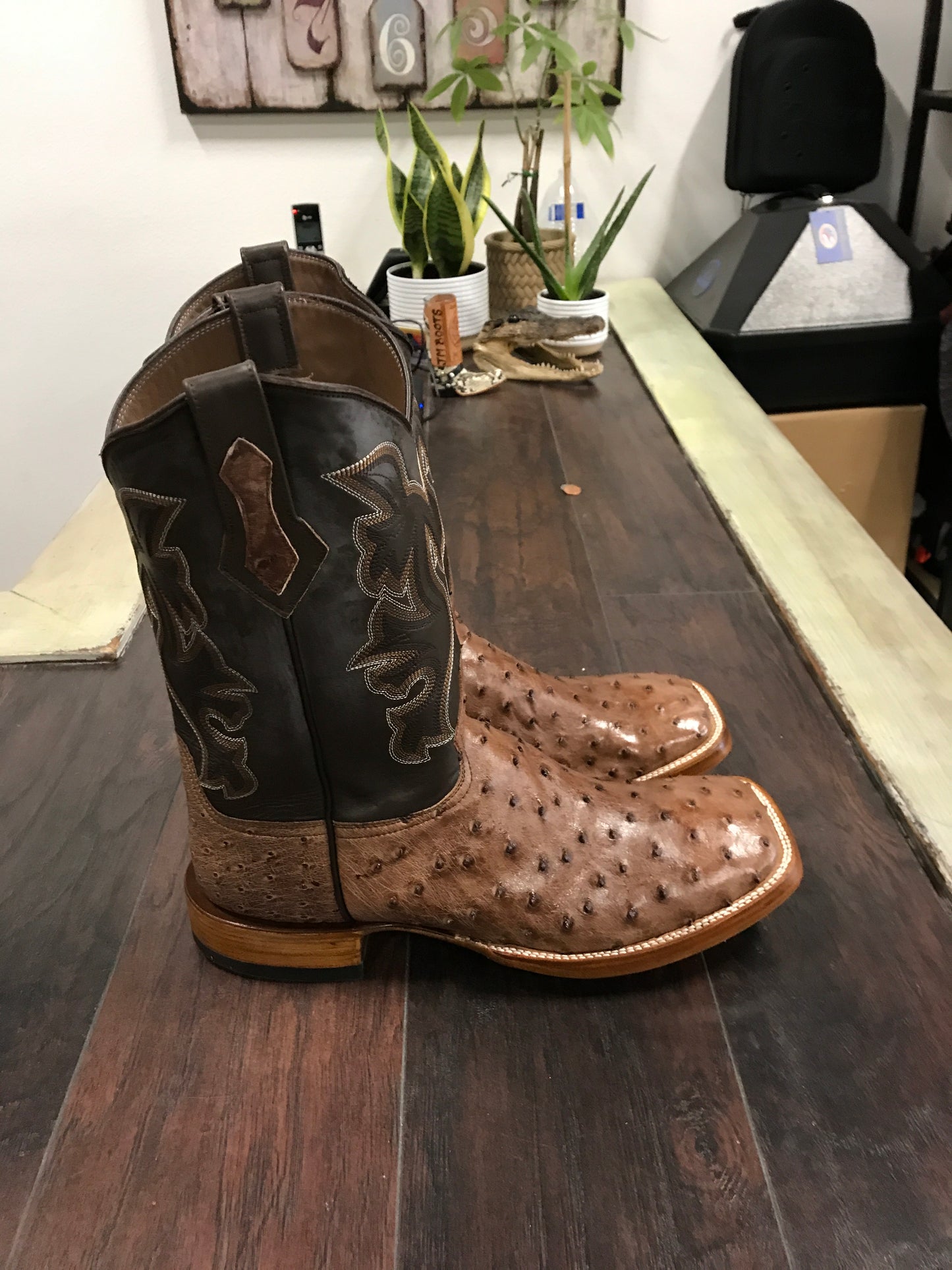 Ostrich Kango Tobacco