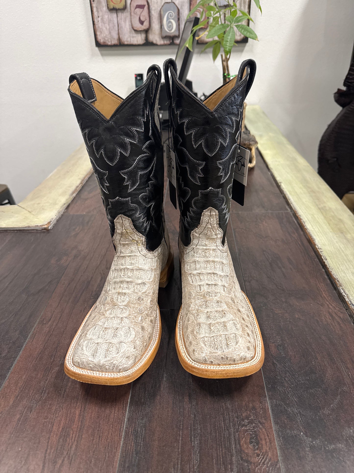Caiman hornback- natural