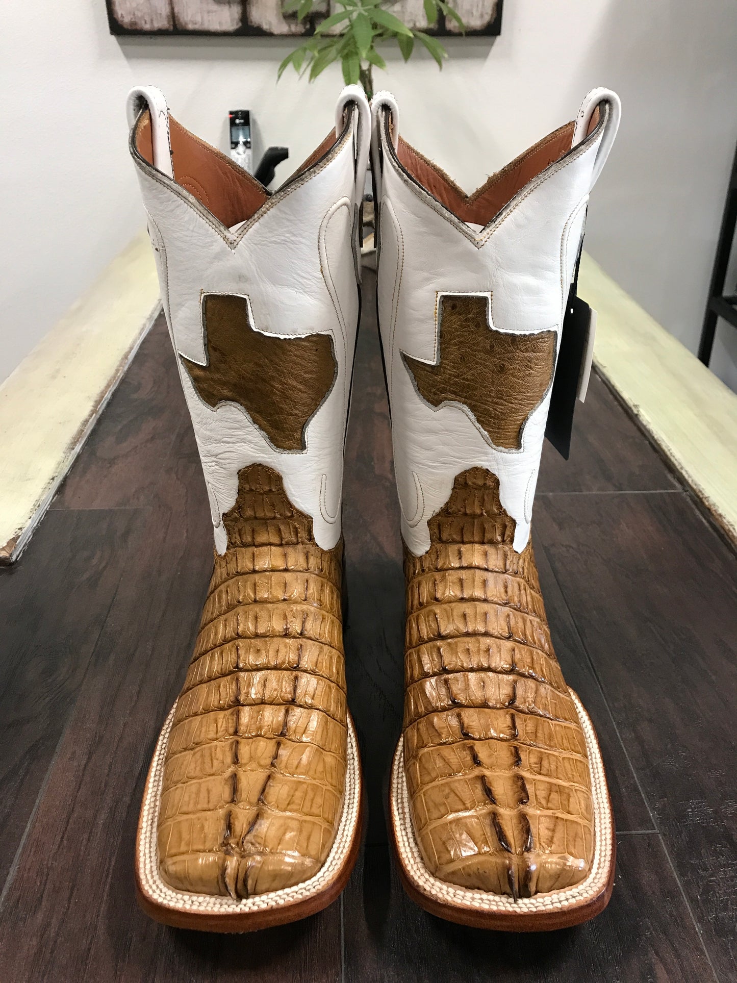 Caiman Tail -Antique Saddle