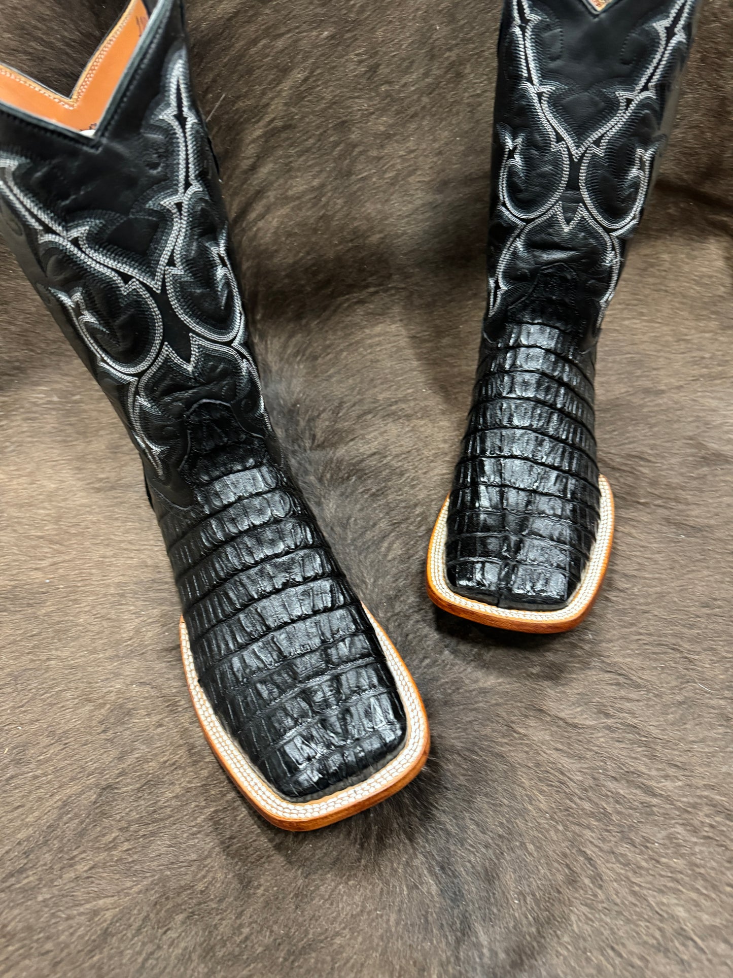 Caiman tail-Black