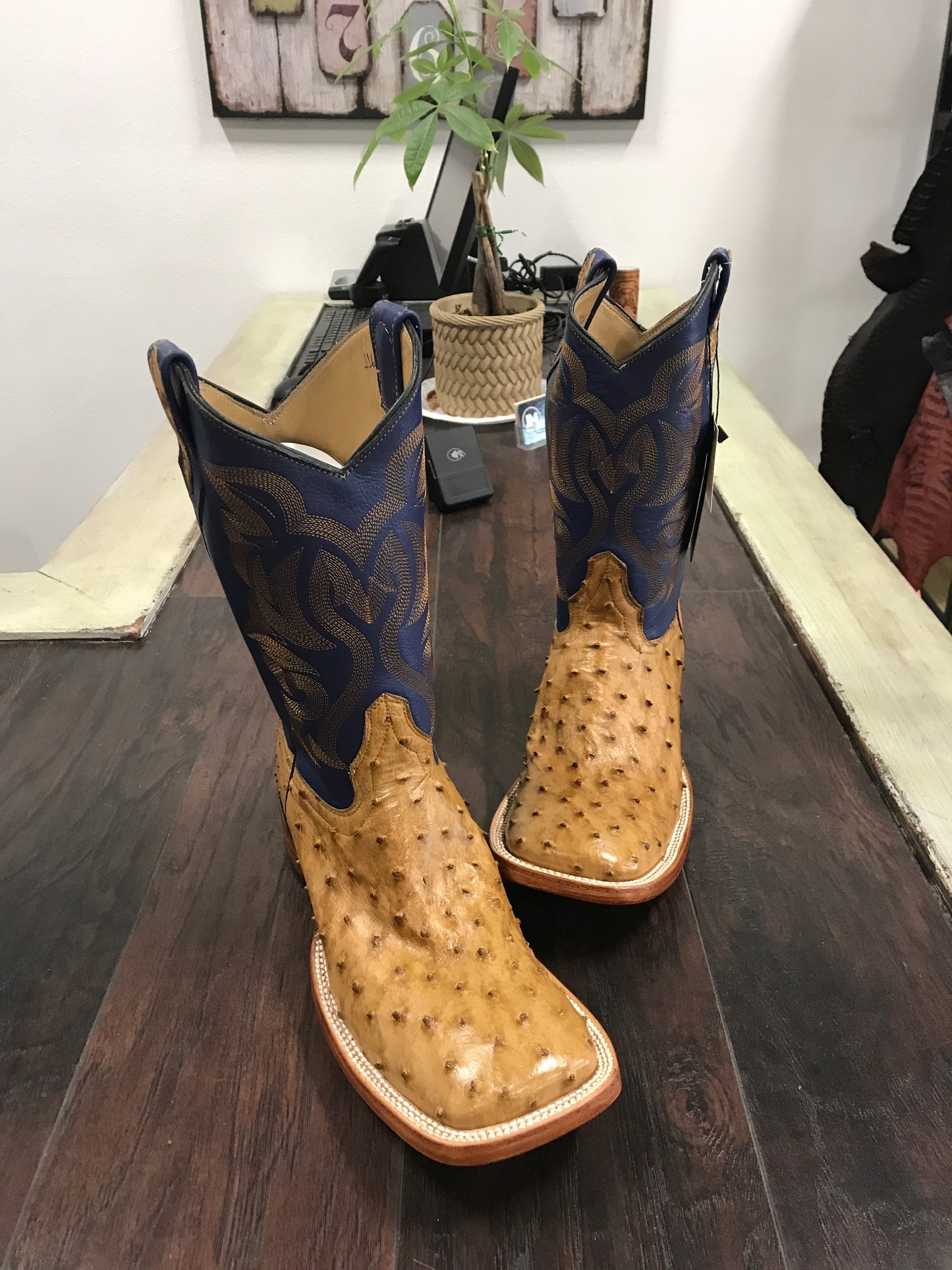 Ostrich -Umber Bruciato