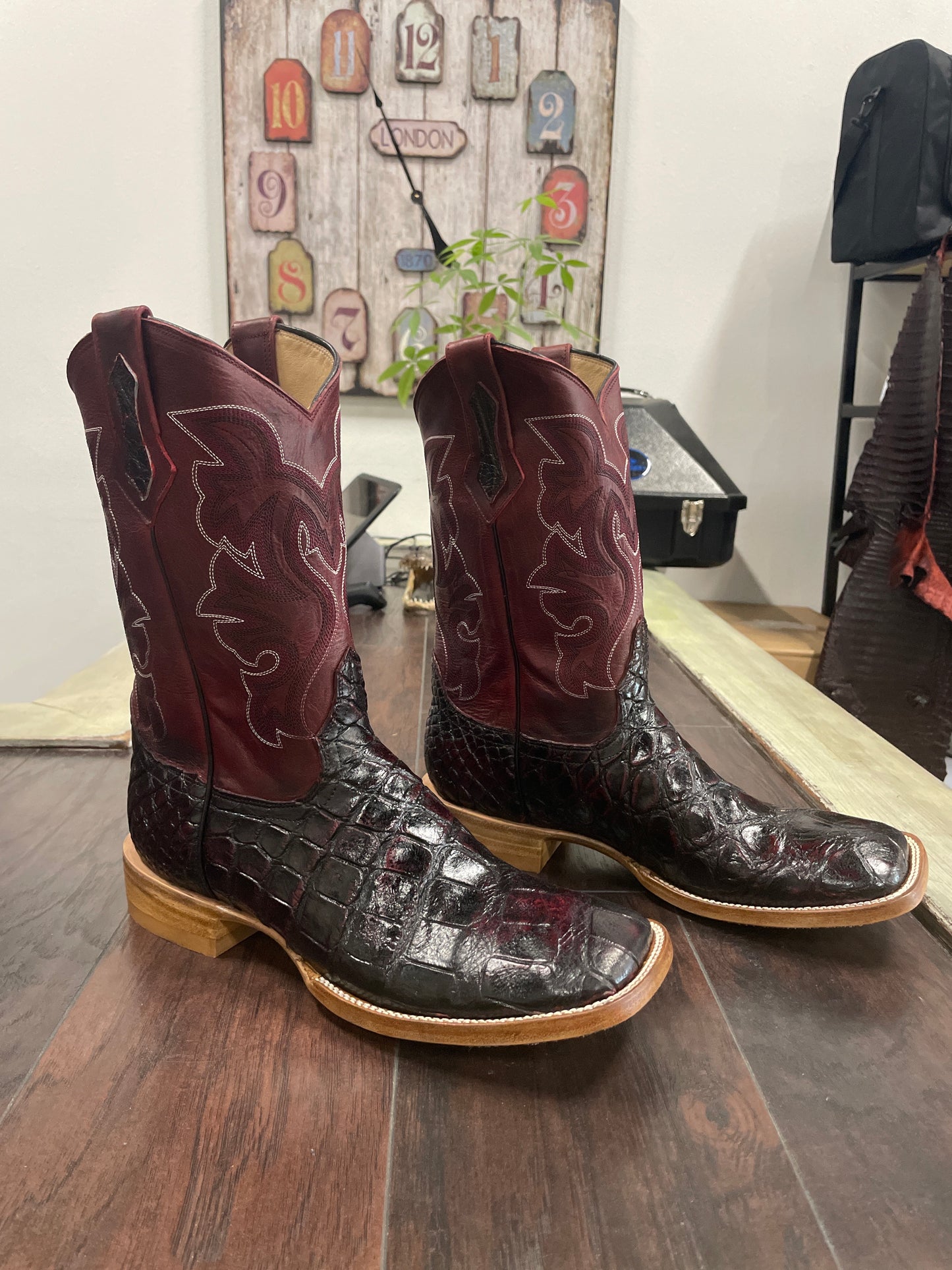 American Alligator~ Black Cherry