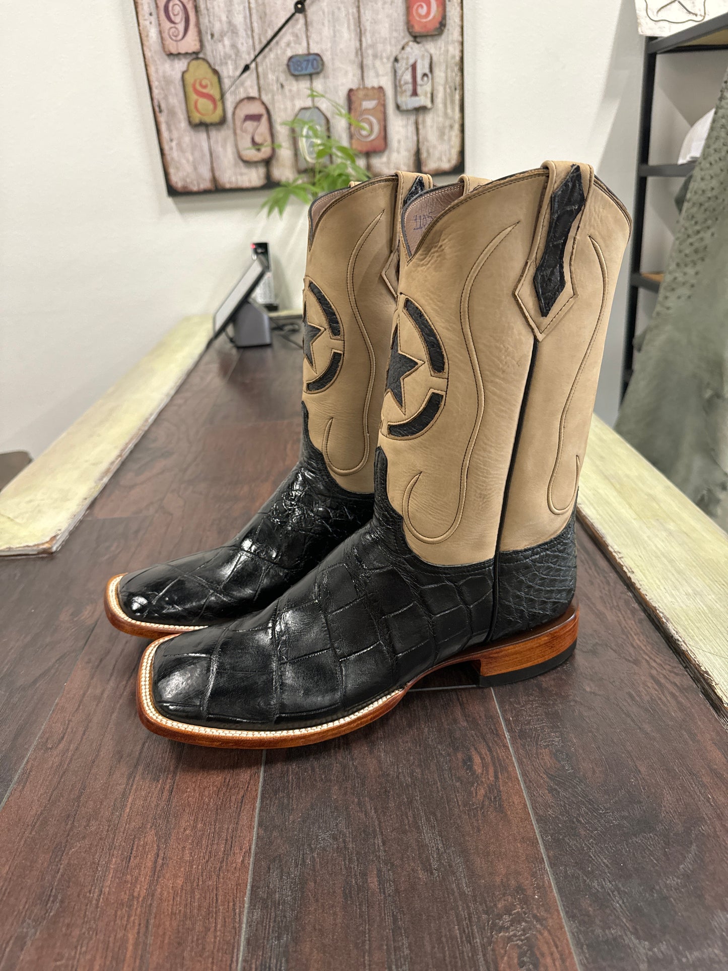American Alligator-Black