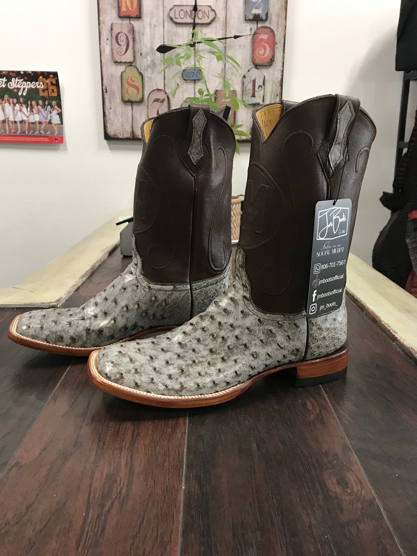 Ostrich- Kango Rio Grande