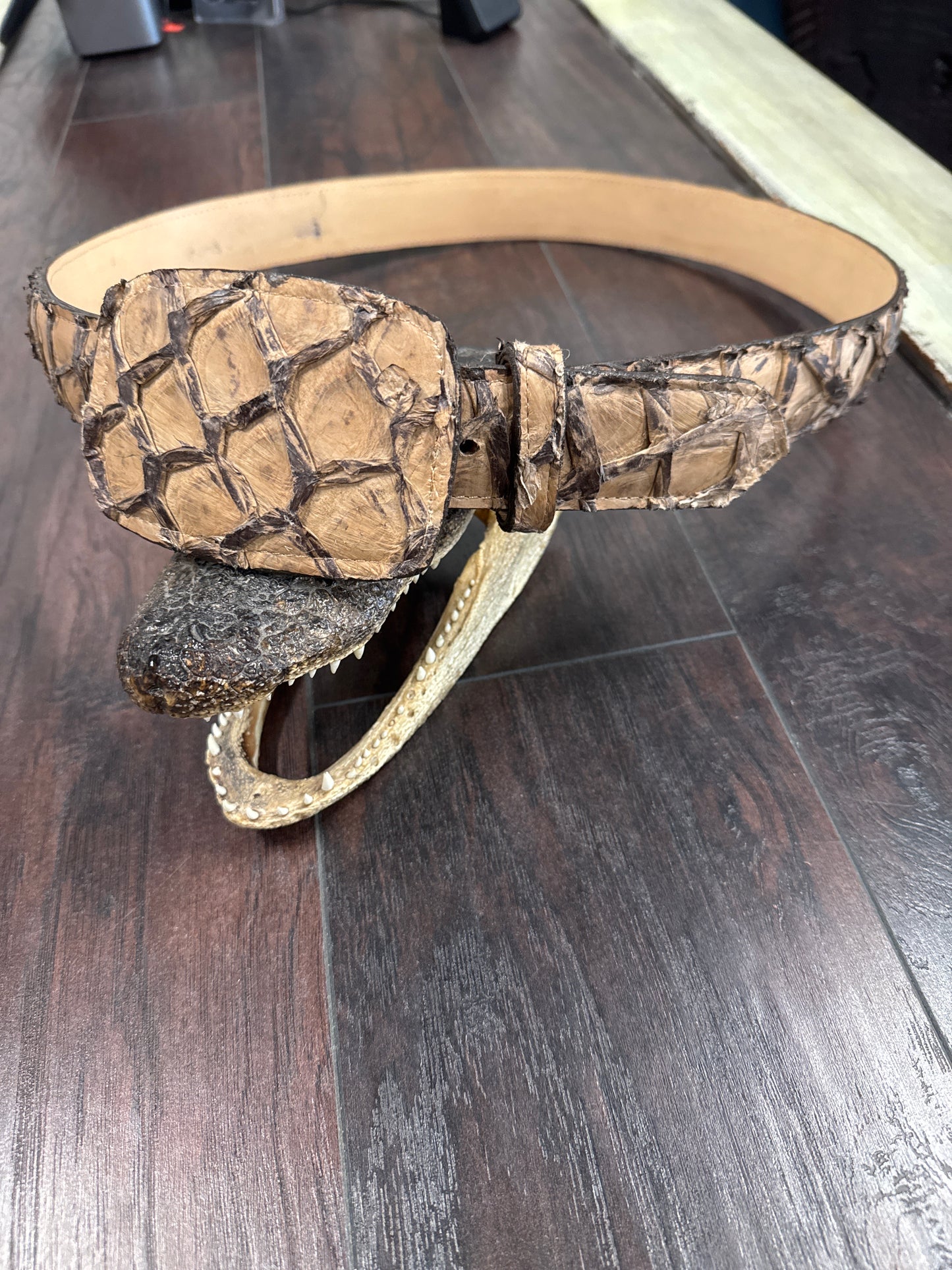 Pirarucu Belt- Chocó Matte