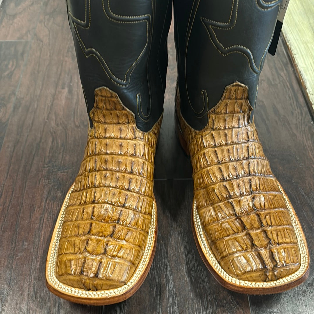 Caiman Tail-Antique Saddle