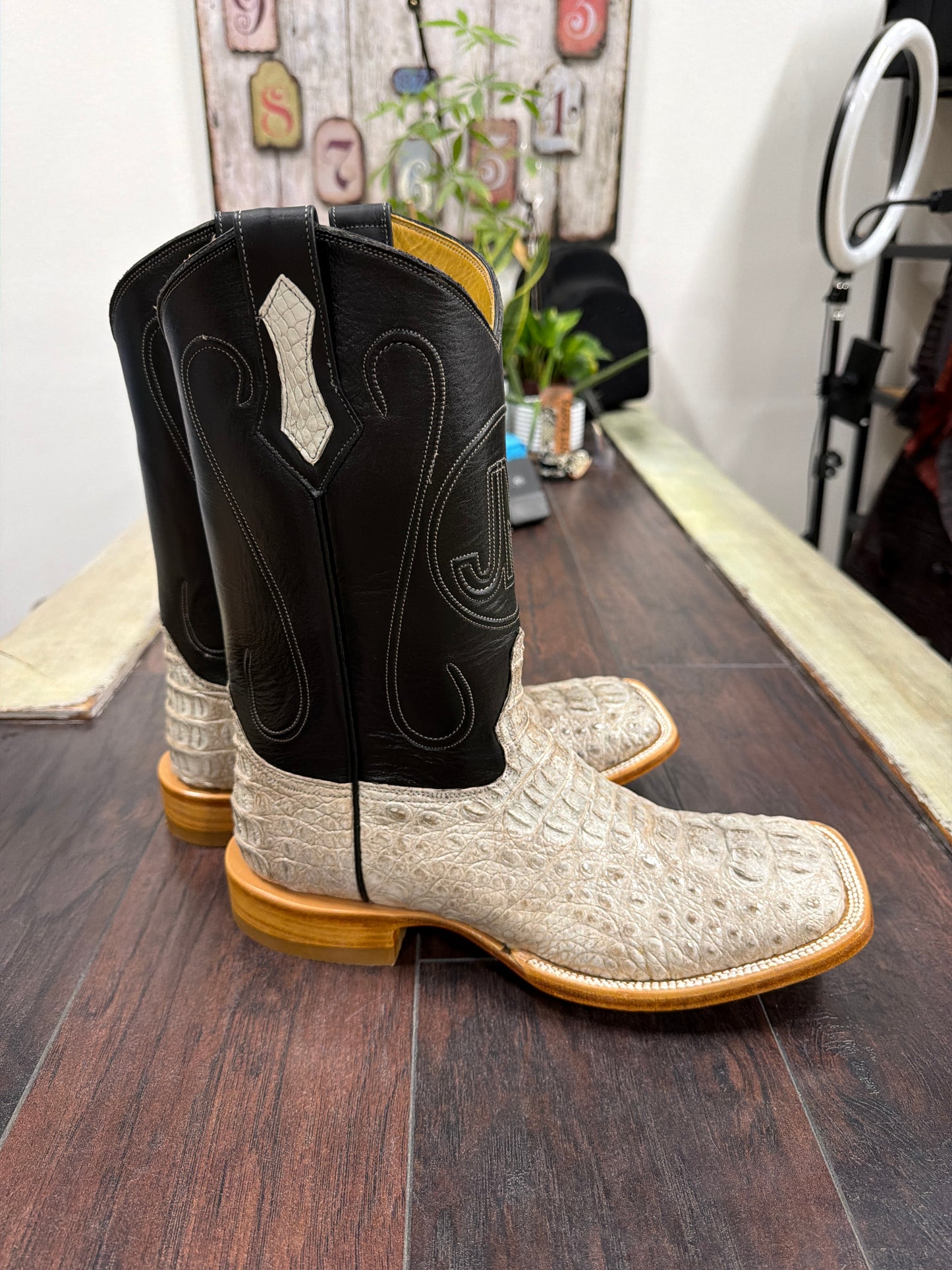Caiman hornback- natural