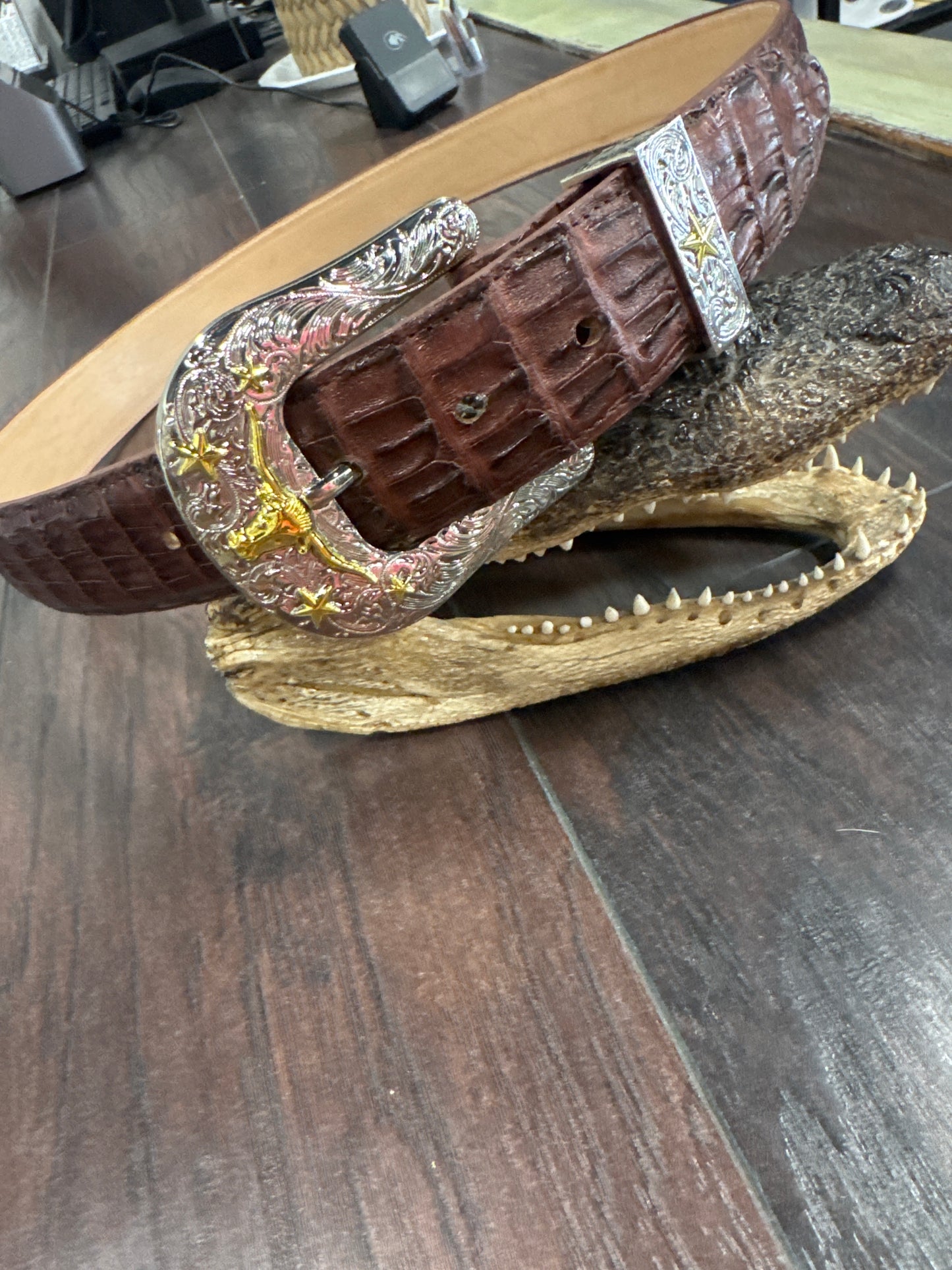 Caiman Belt- Cigar
