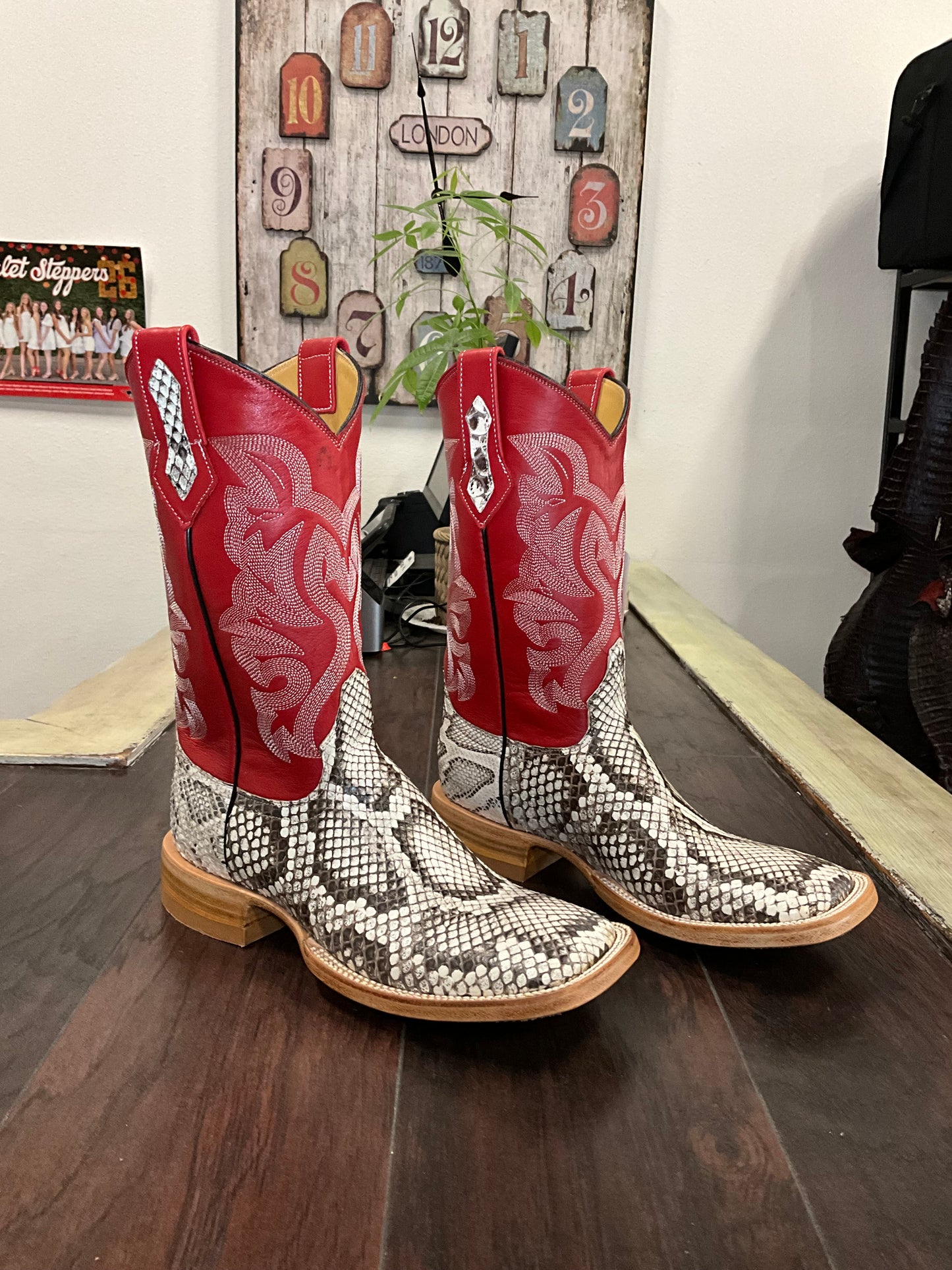 Natural- Python Back
