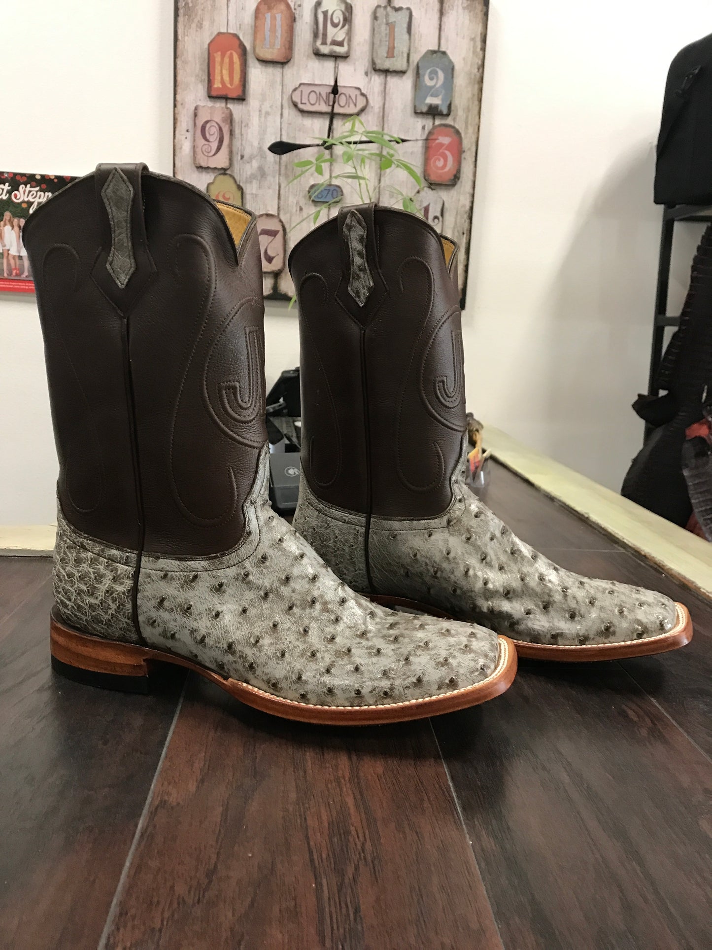Ostrich- Kango Rio Grande