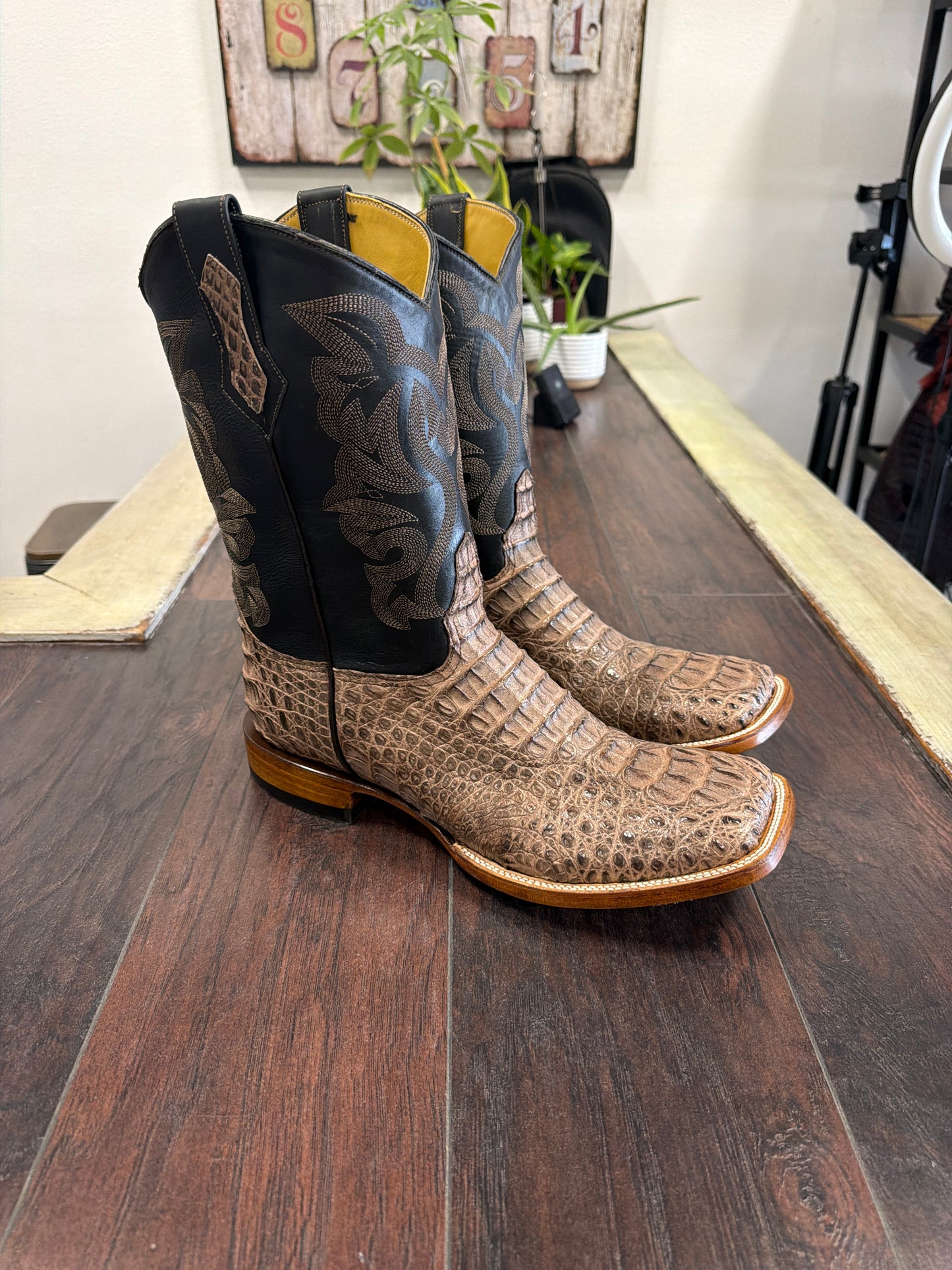 Caiman hornback- mink and black