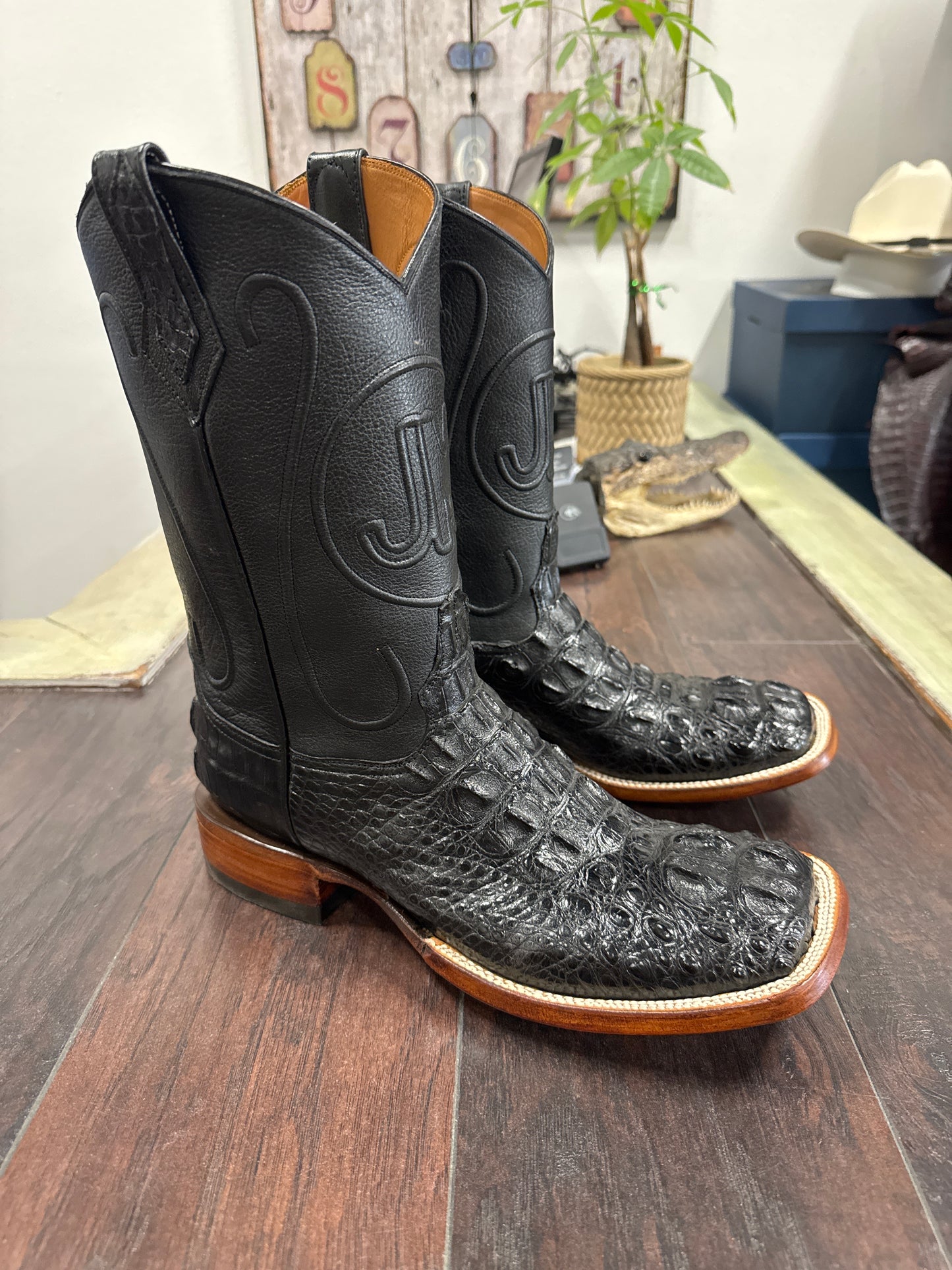 Alligator Hornback-Black