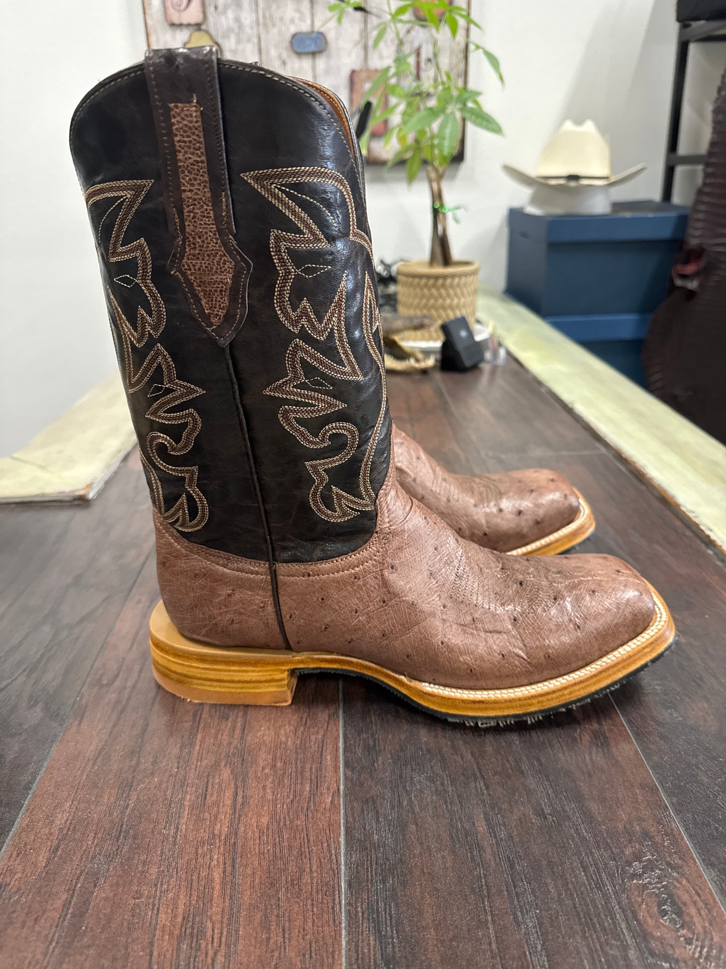 Ostrich Belly Steel Toe