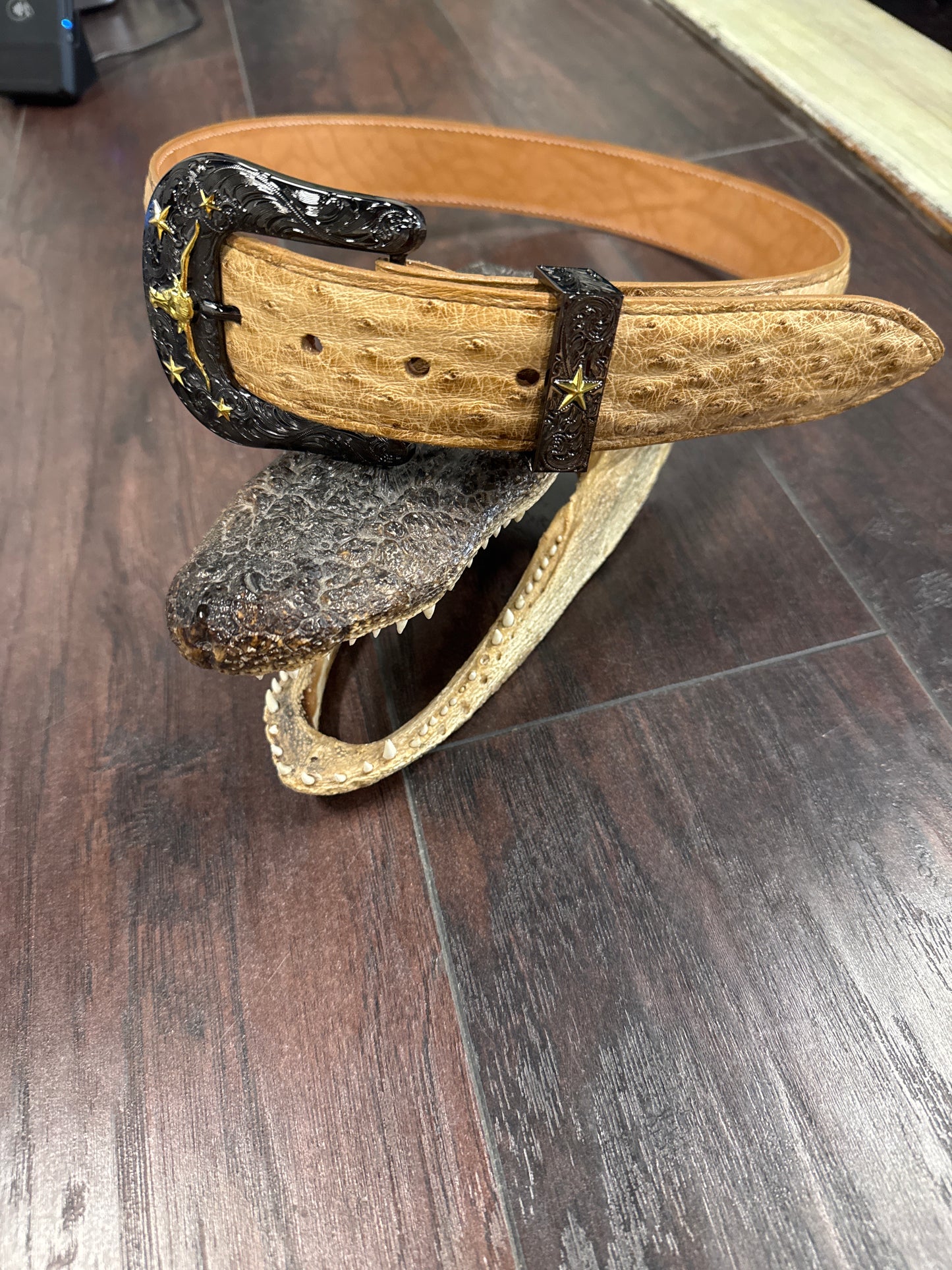 Ostrich Belt- Umber bruciato