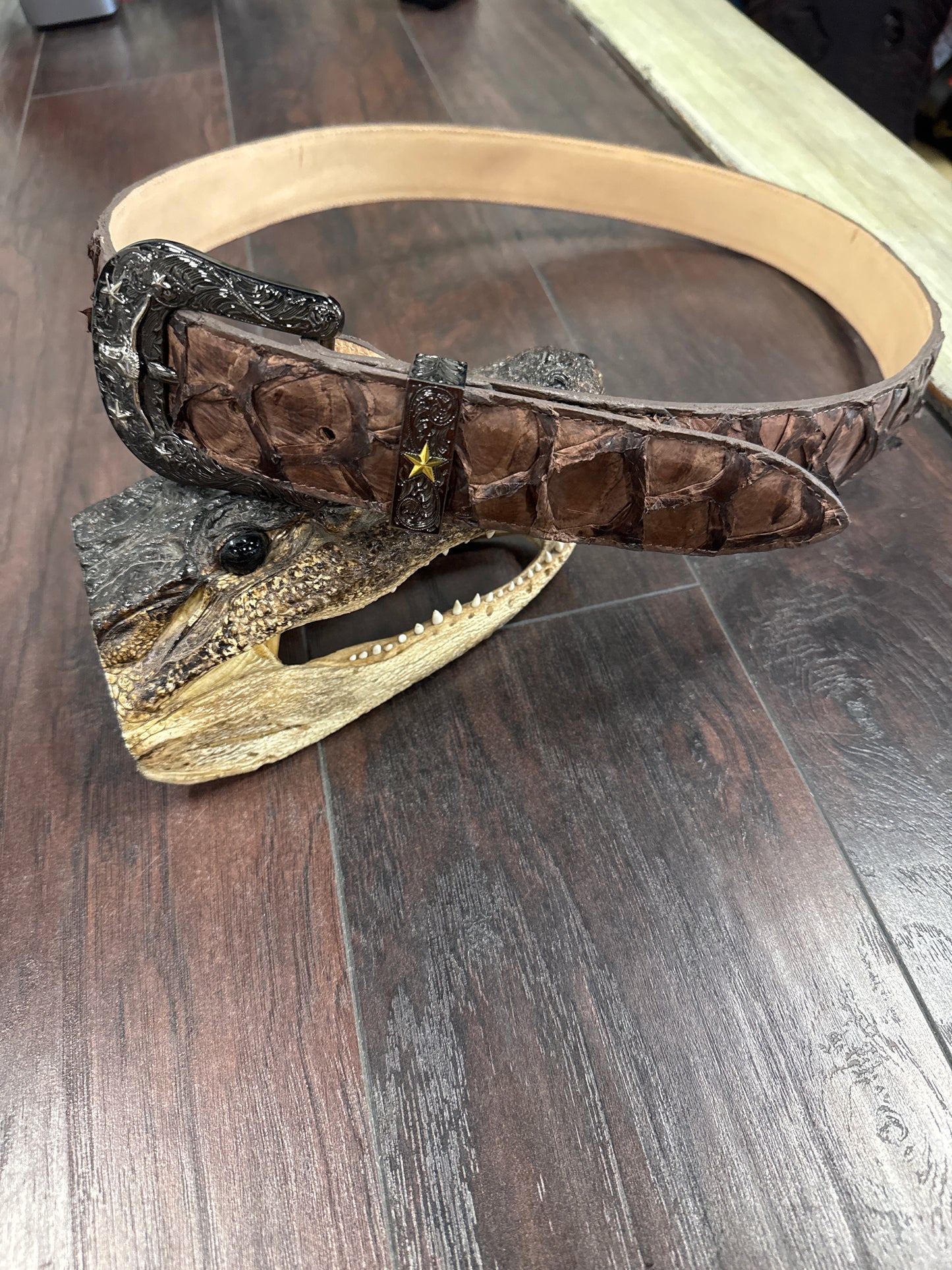Pirarucu-Chocolate brown