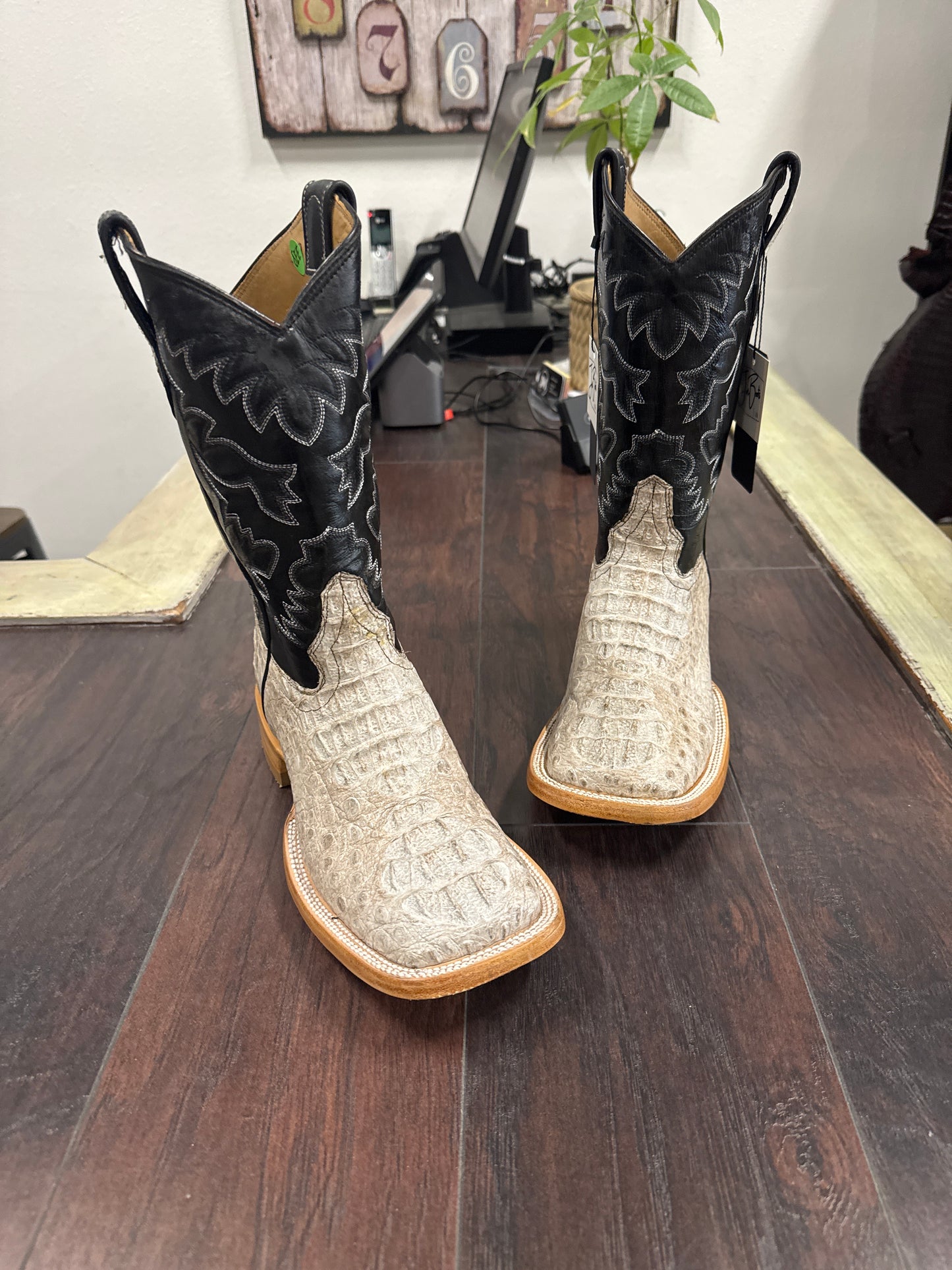 Caiman hornback- natural