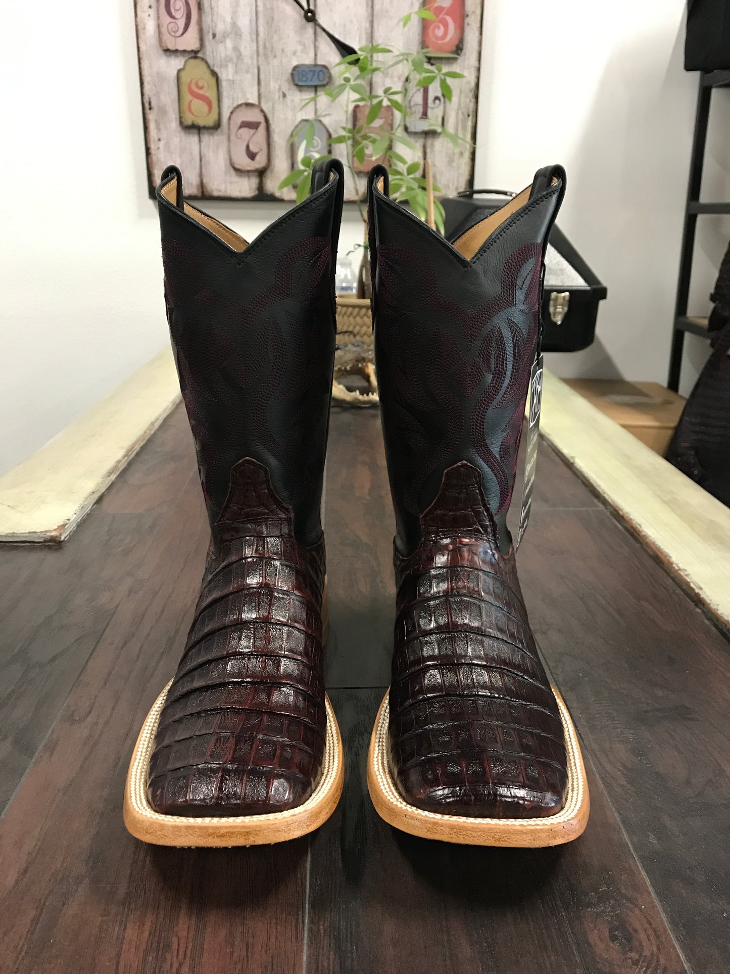 Caiman Belly Black Cherry