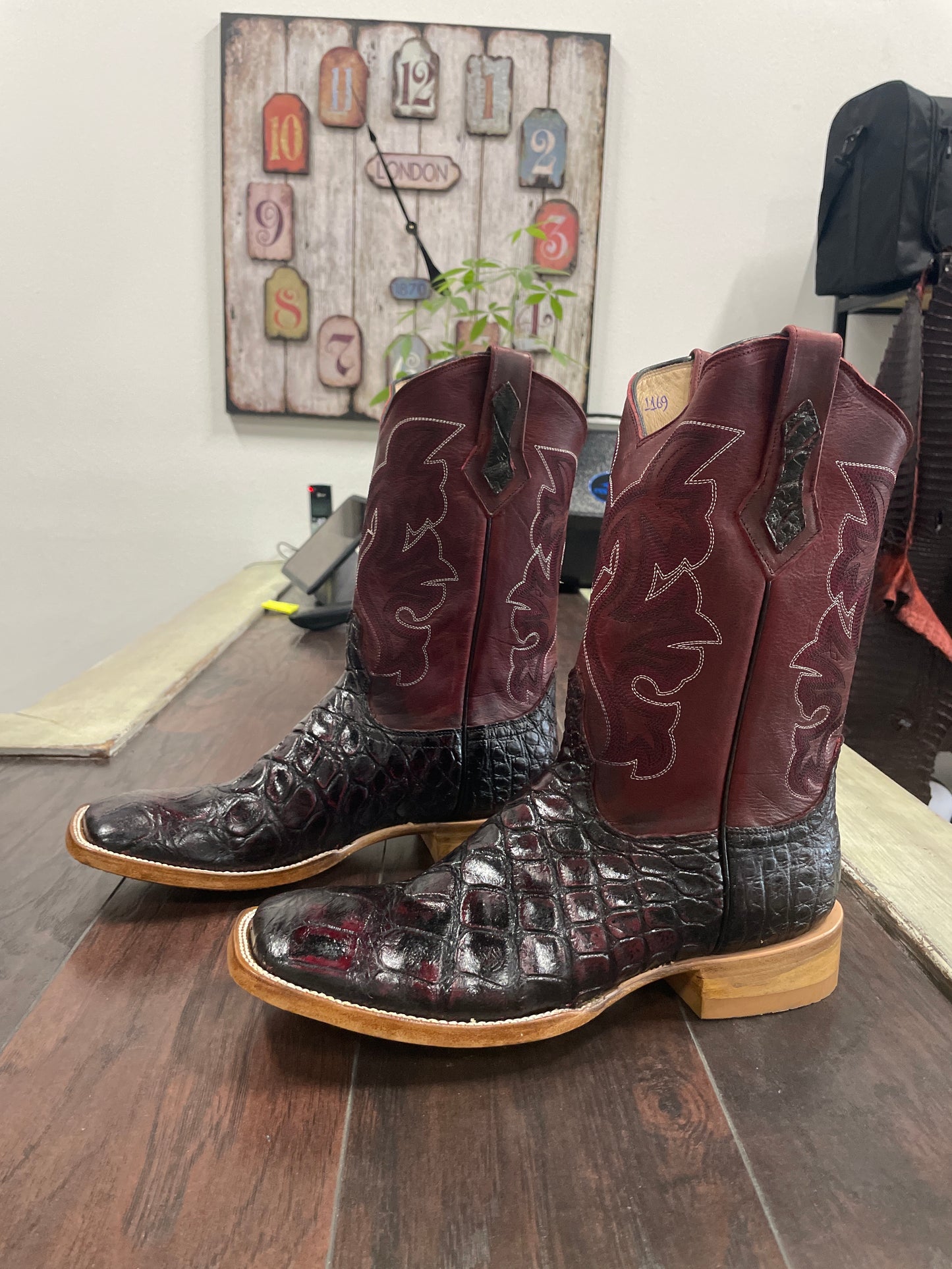 American Alligator~ Black Cherry