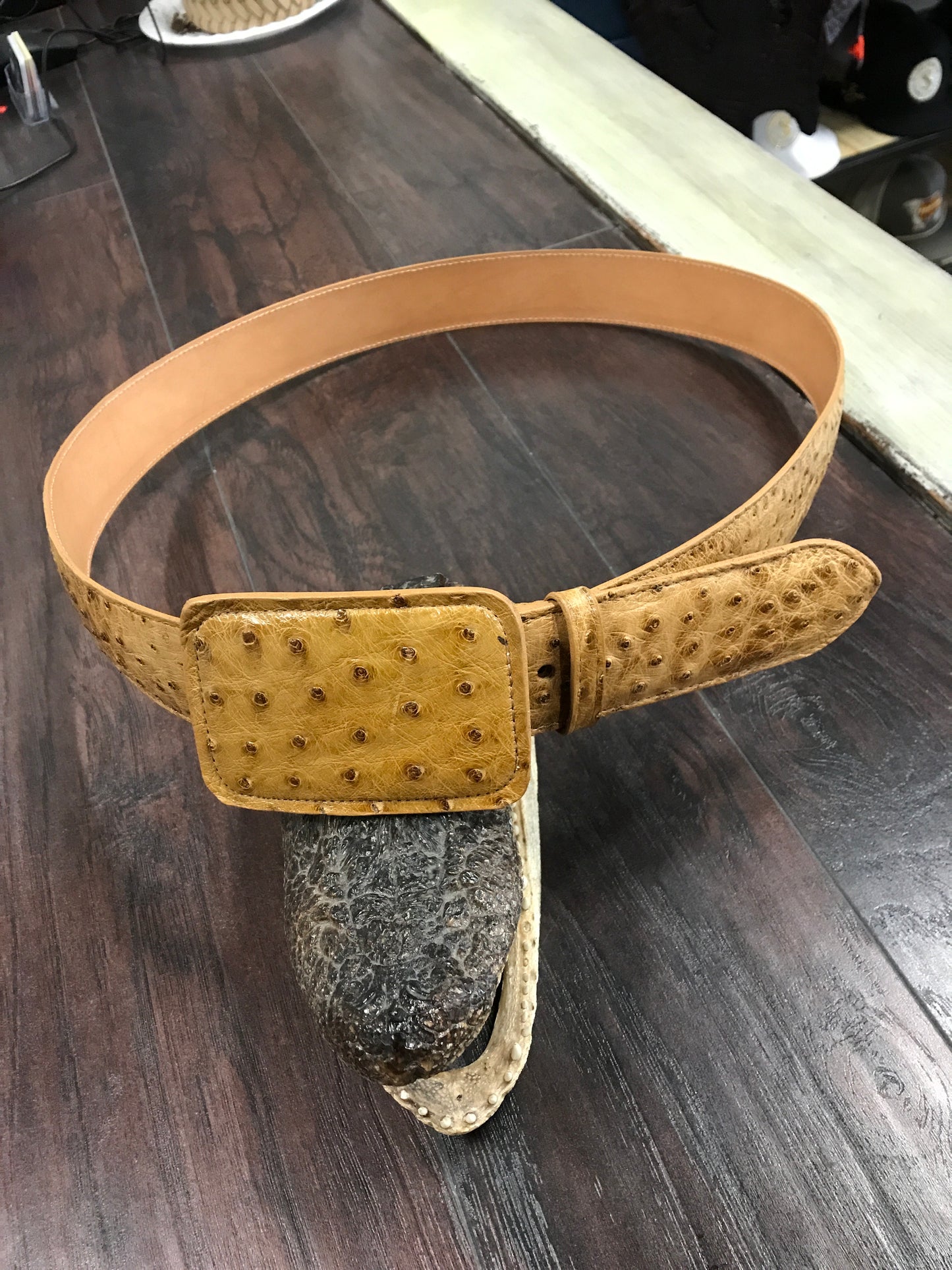 Ostrich Belt- Umber bruciato