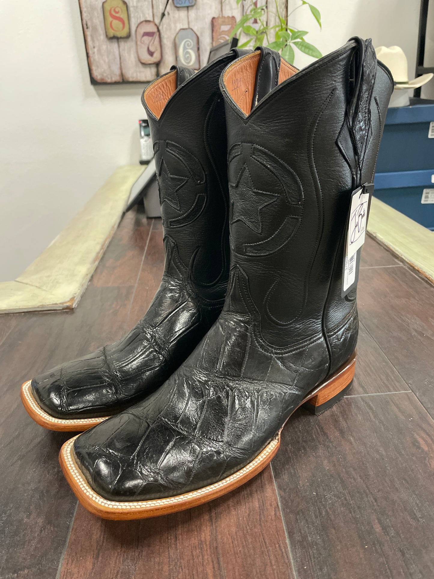 American alligator Belly Black 2
