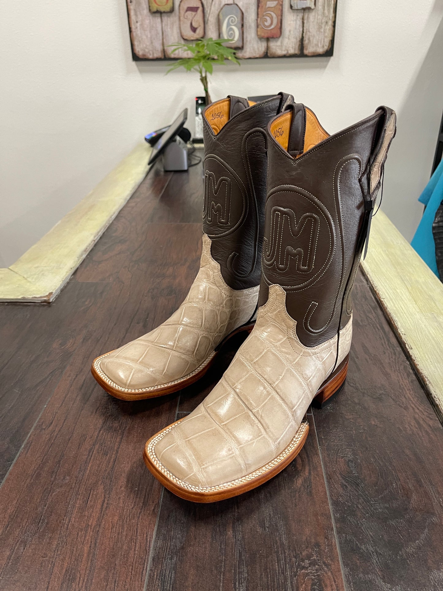 American Alligator Hueso