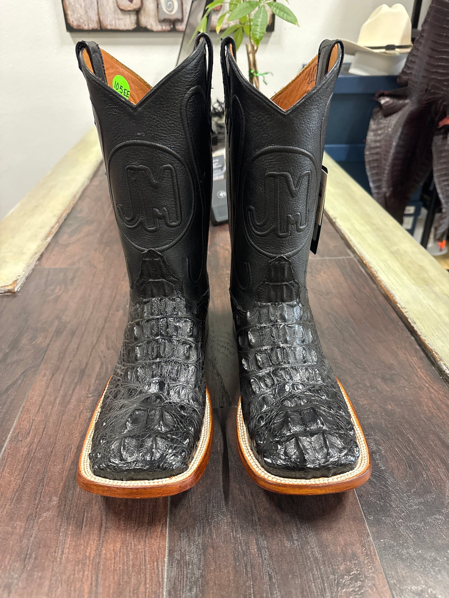 Alligator Hornback-Black