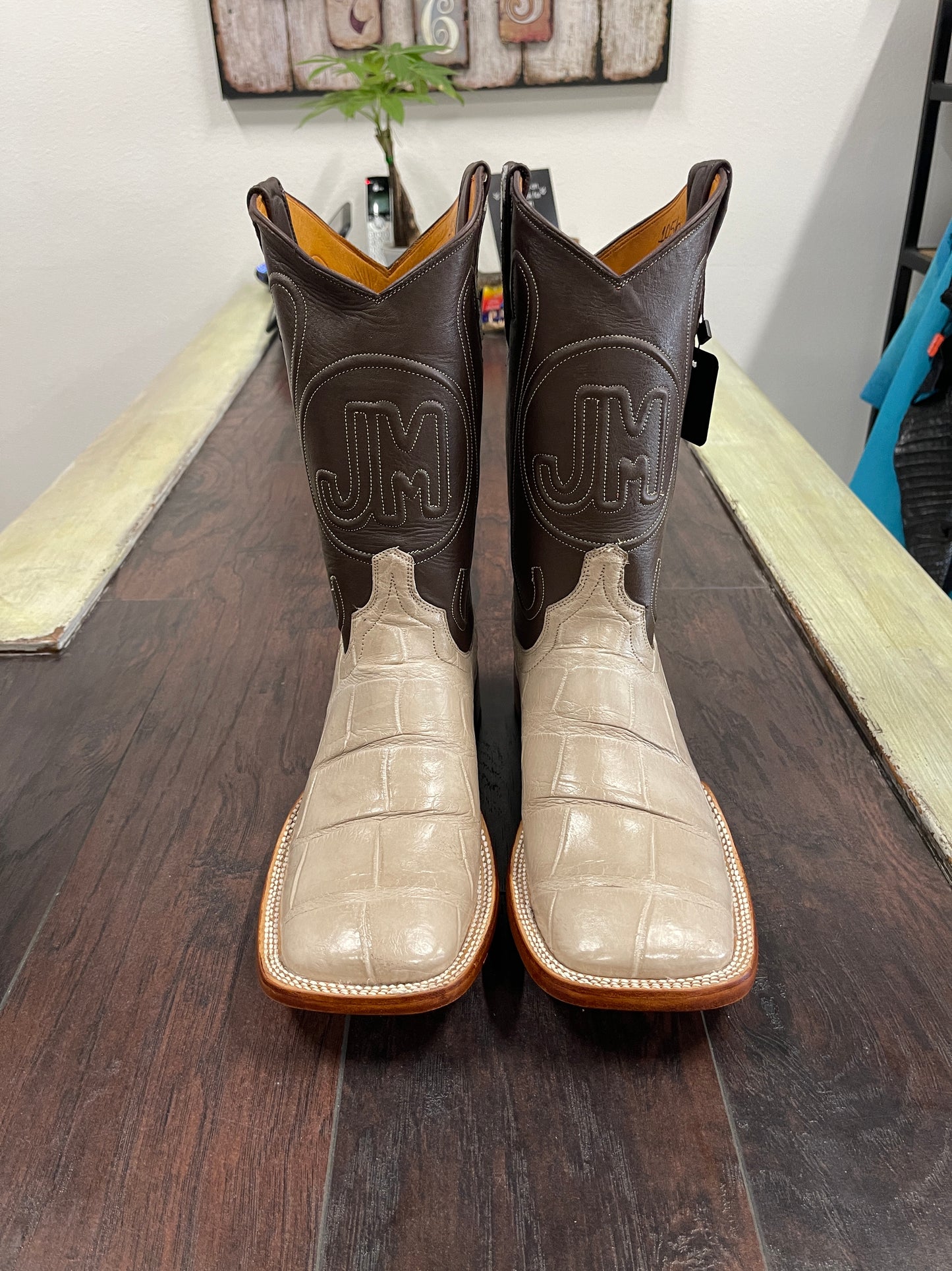 American Alligator Hueso