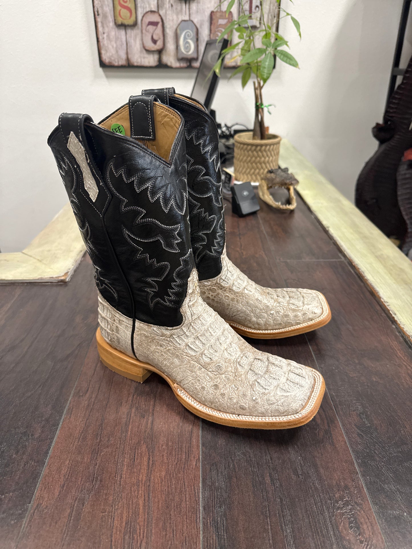 Caiman hornback- natural