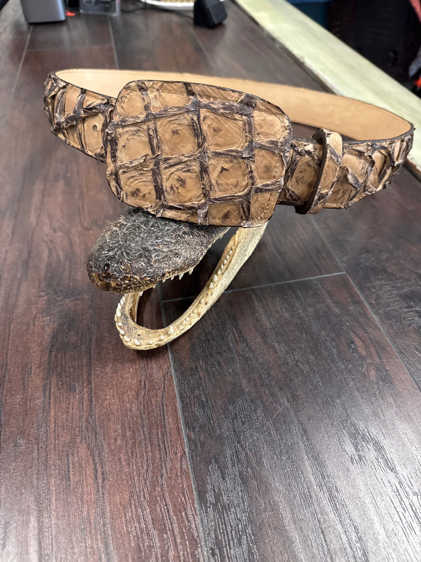 Pirarucu Belt- Chocó Matte