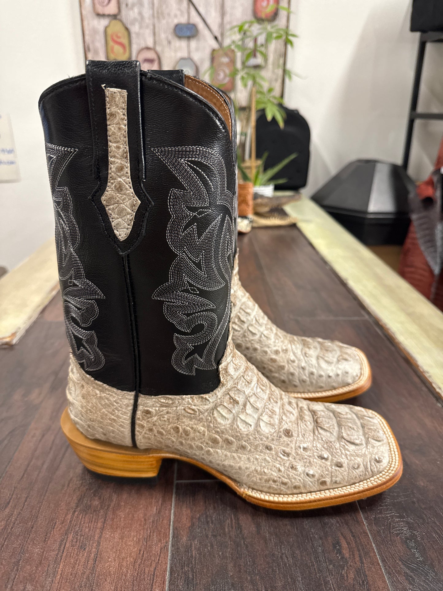 Caiman hornback- natural