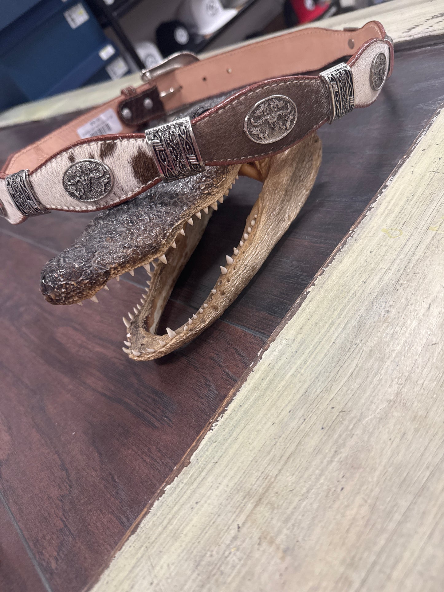 Cowhide belt metal conchos