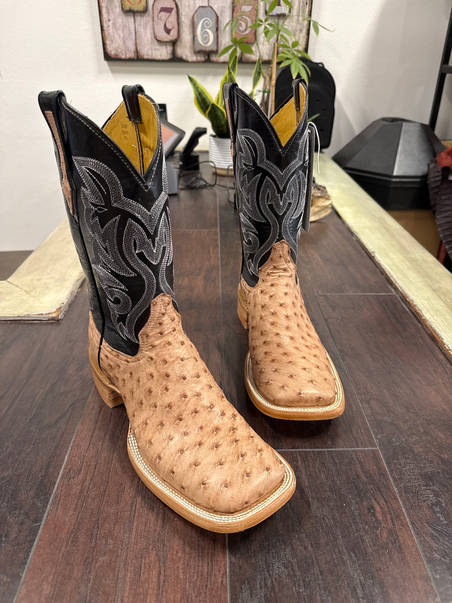 Ostrich- DB Bruciato