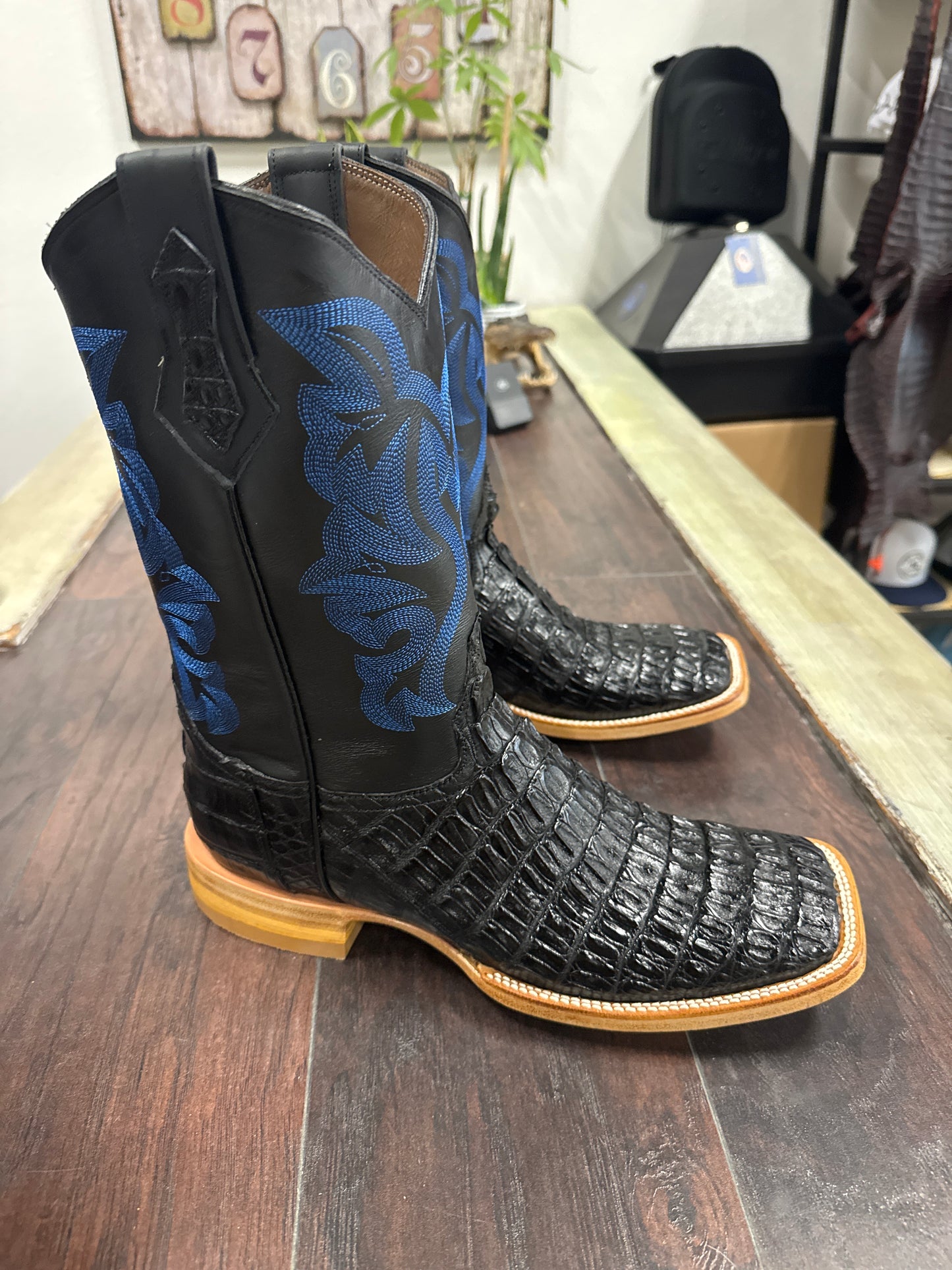 Black caiman tail