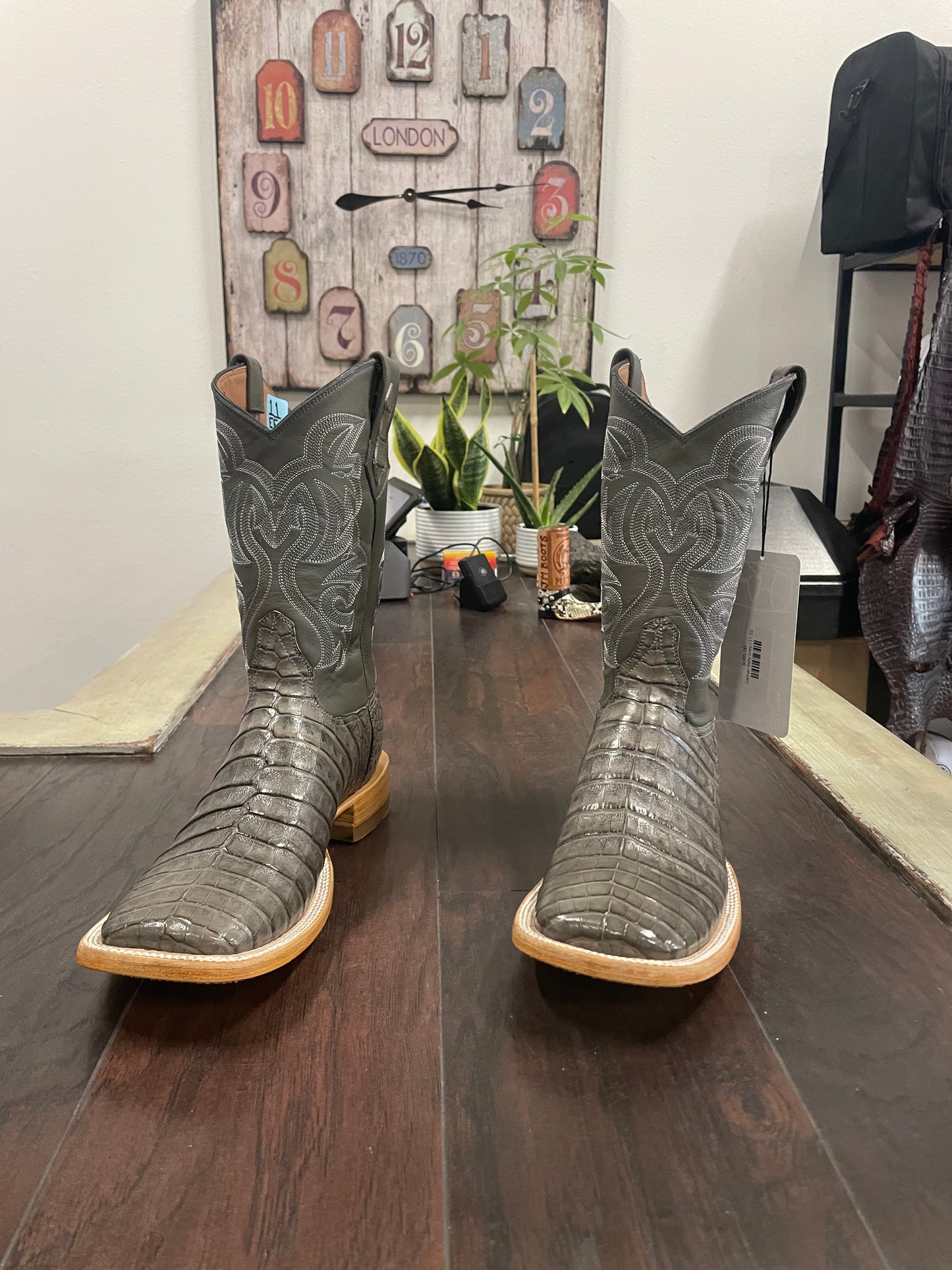 Caiman Belly Grey