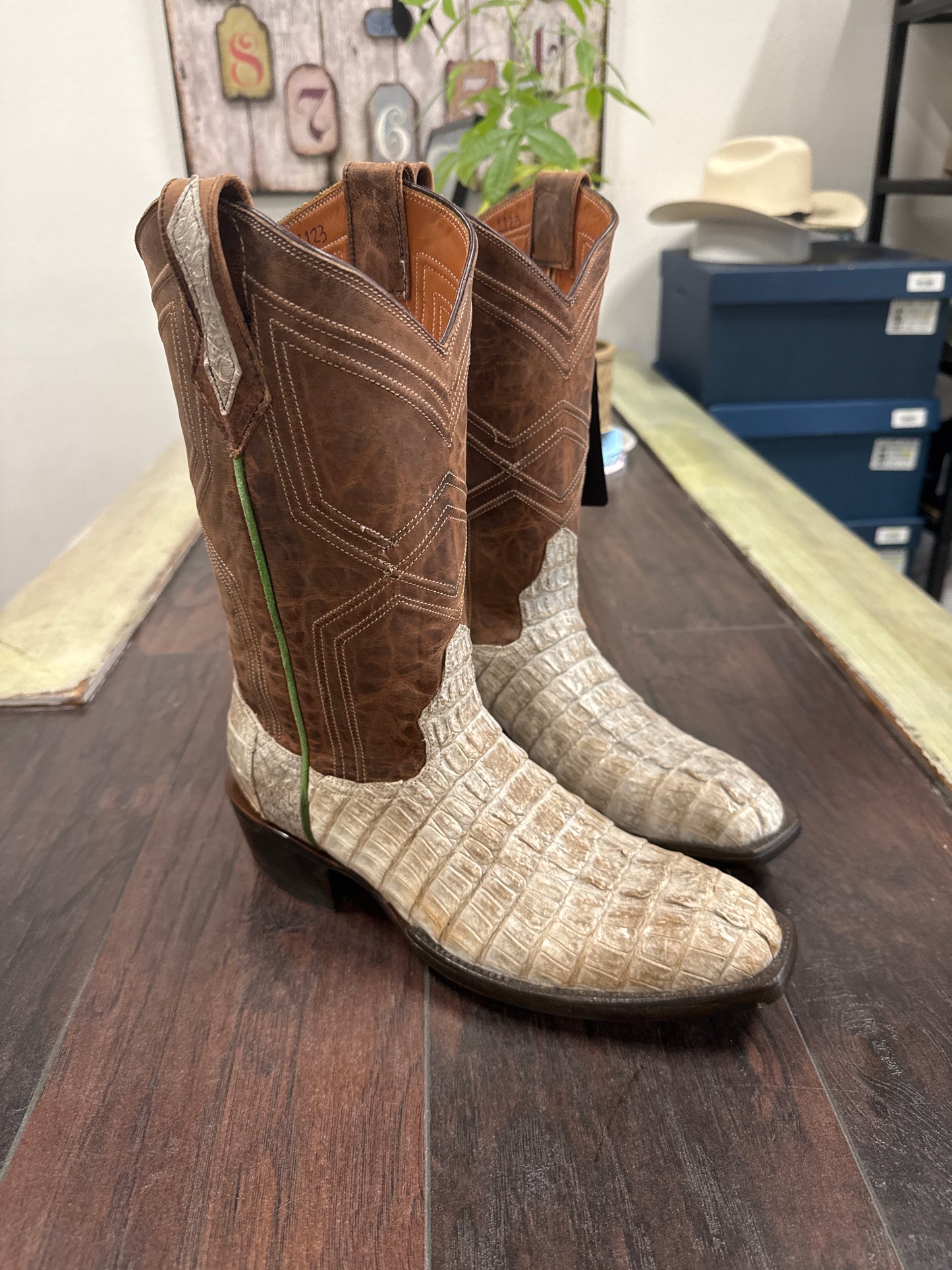Caiman tail- Natural