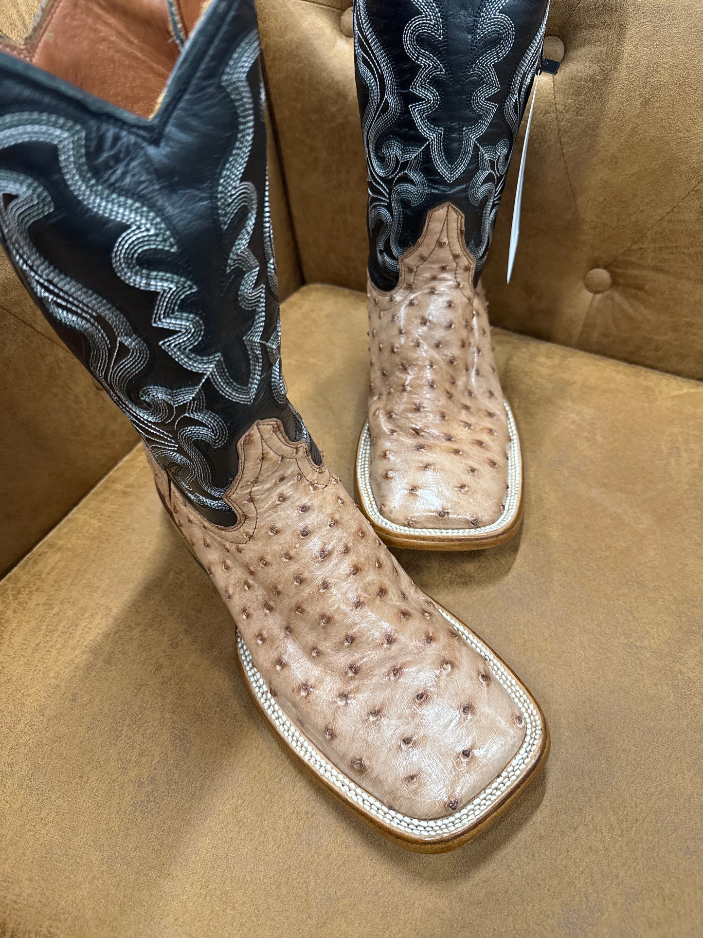 Ostrich - Dark Brown Bruciato
