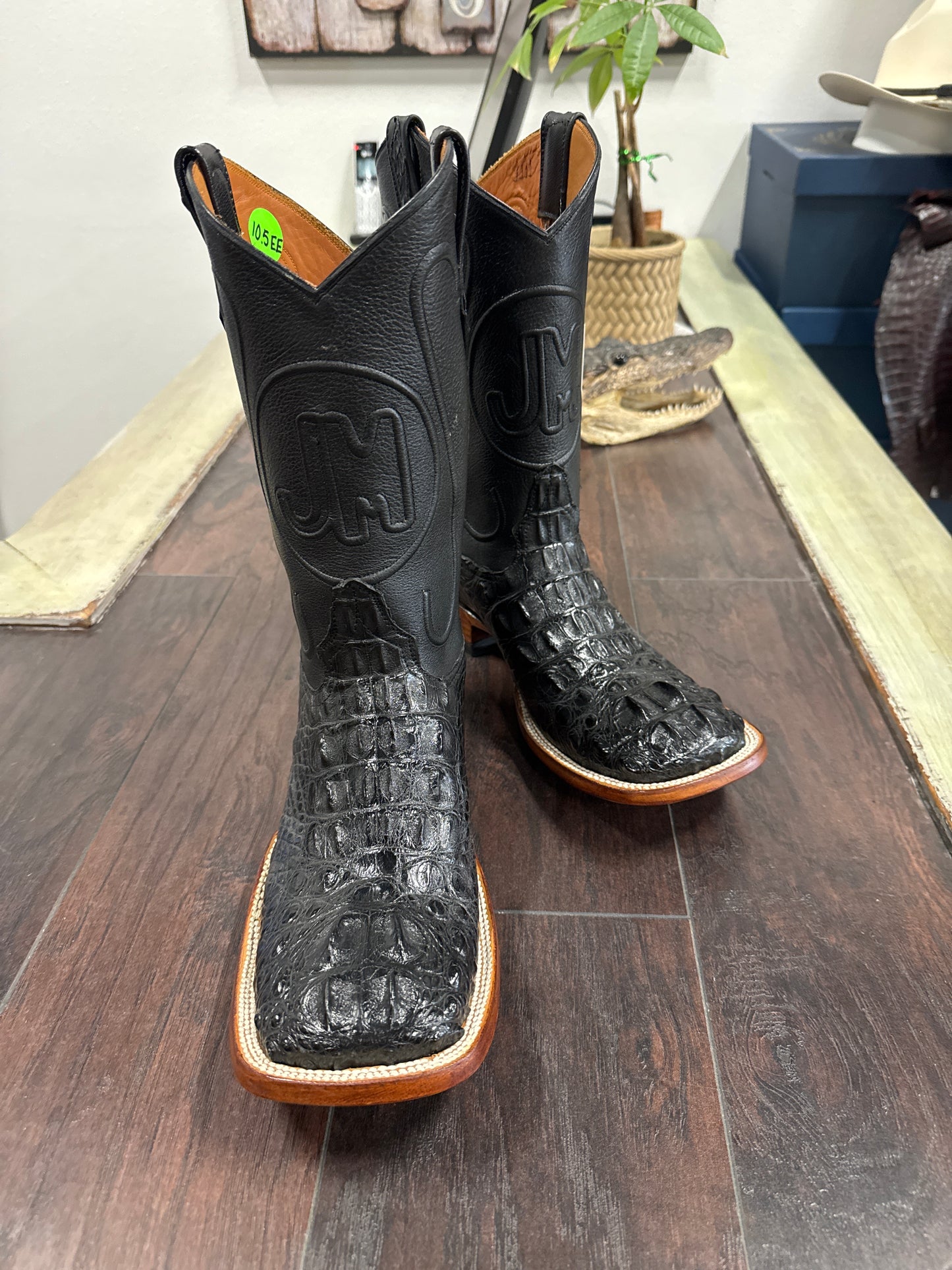Alligator Hornback-Black