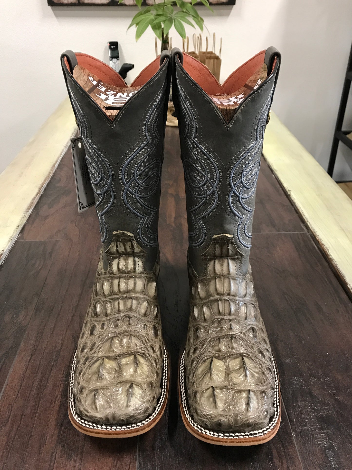 Nuca Alligator Grey