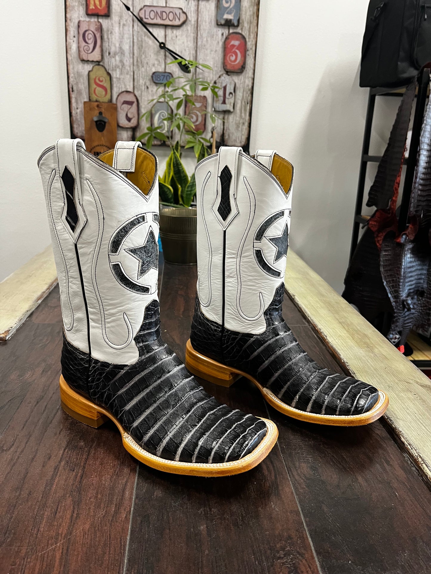 Caiman Belly- Zebra gray