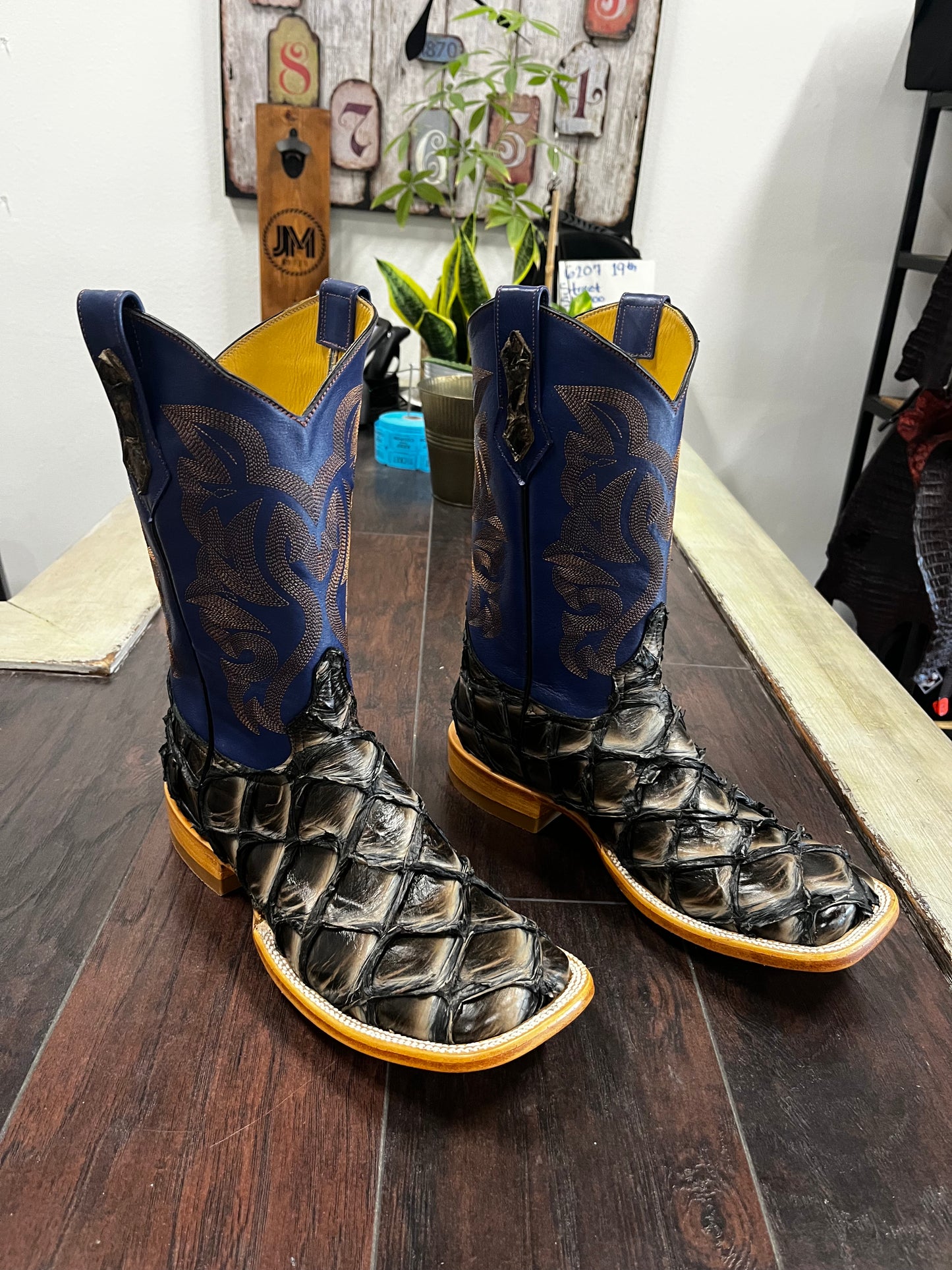 Pirarucu- Black Camel Rise